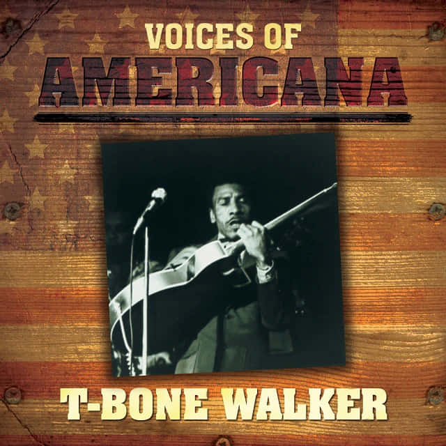 T-Bone Walker, black and white photo, guitar, SD Desktop Wallpaper