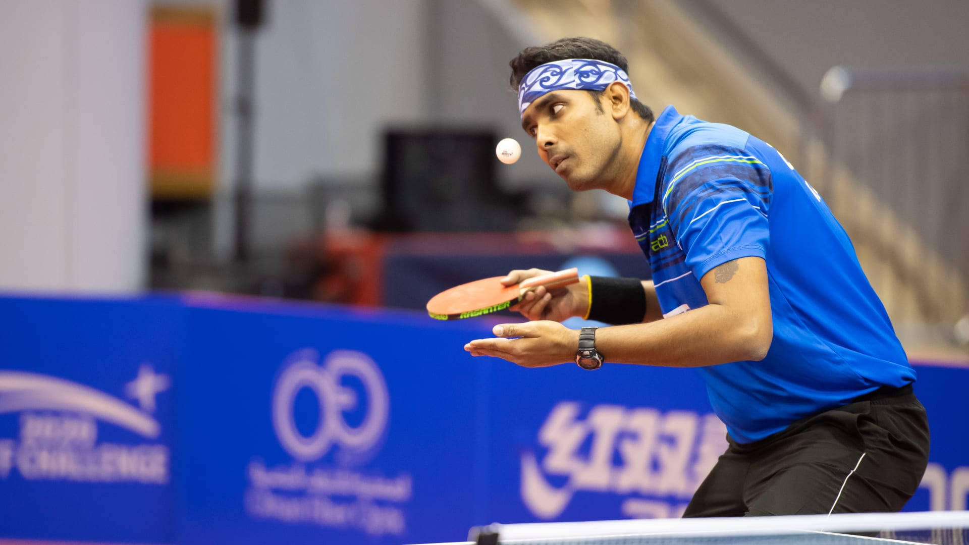 table tennis, professional player, blue shirt, Full HD Desktop Wallpaper