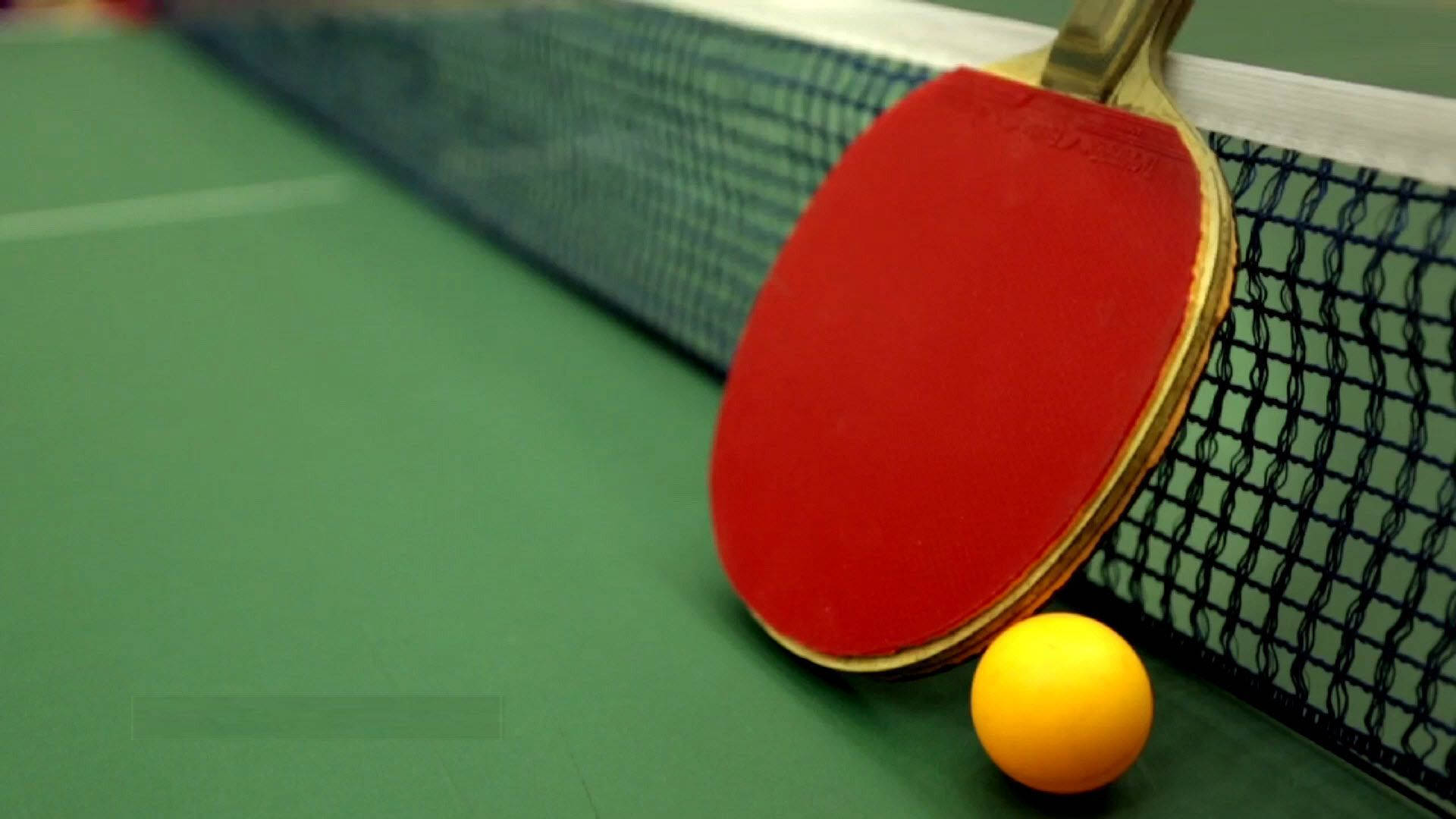 red ping pong paddle, yellow ball, green table, Full HD Desktop Wallpaper