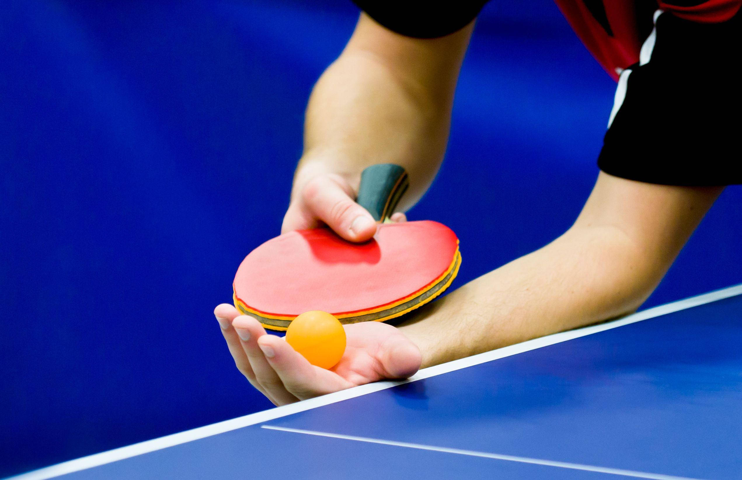 red ping pong paddle, orange ball, blue table with white lines, Full HD Desktop Wallpaper