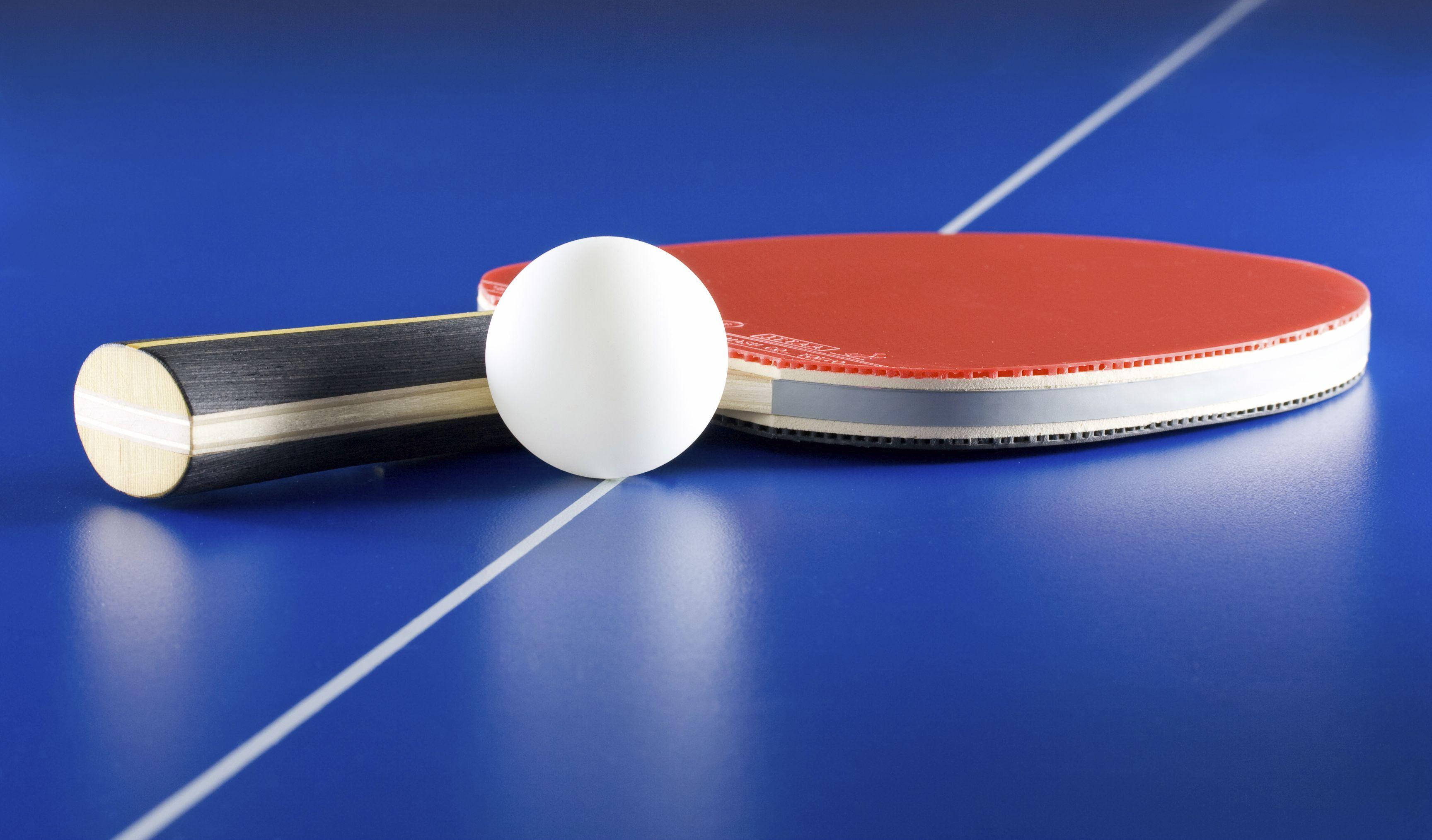 red and black table tennis paddle, white ball, vibrant blue table, 2K Desktop Wallpaper