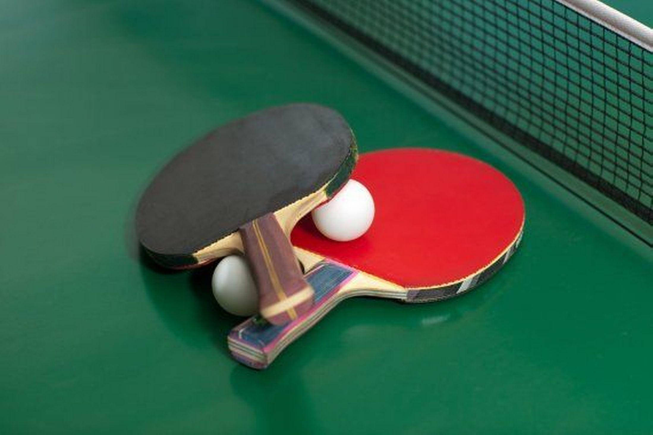 table tennis, red and black rubber grips, green table, Full HD Desktop Wallpaper