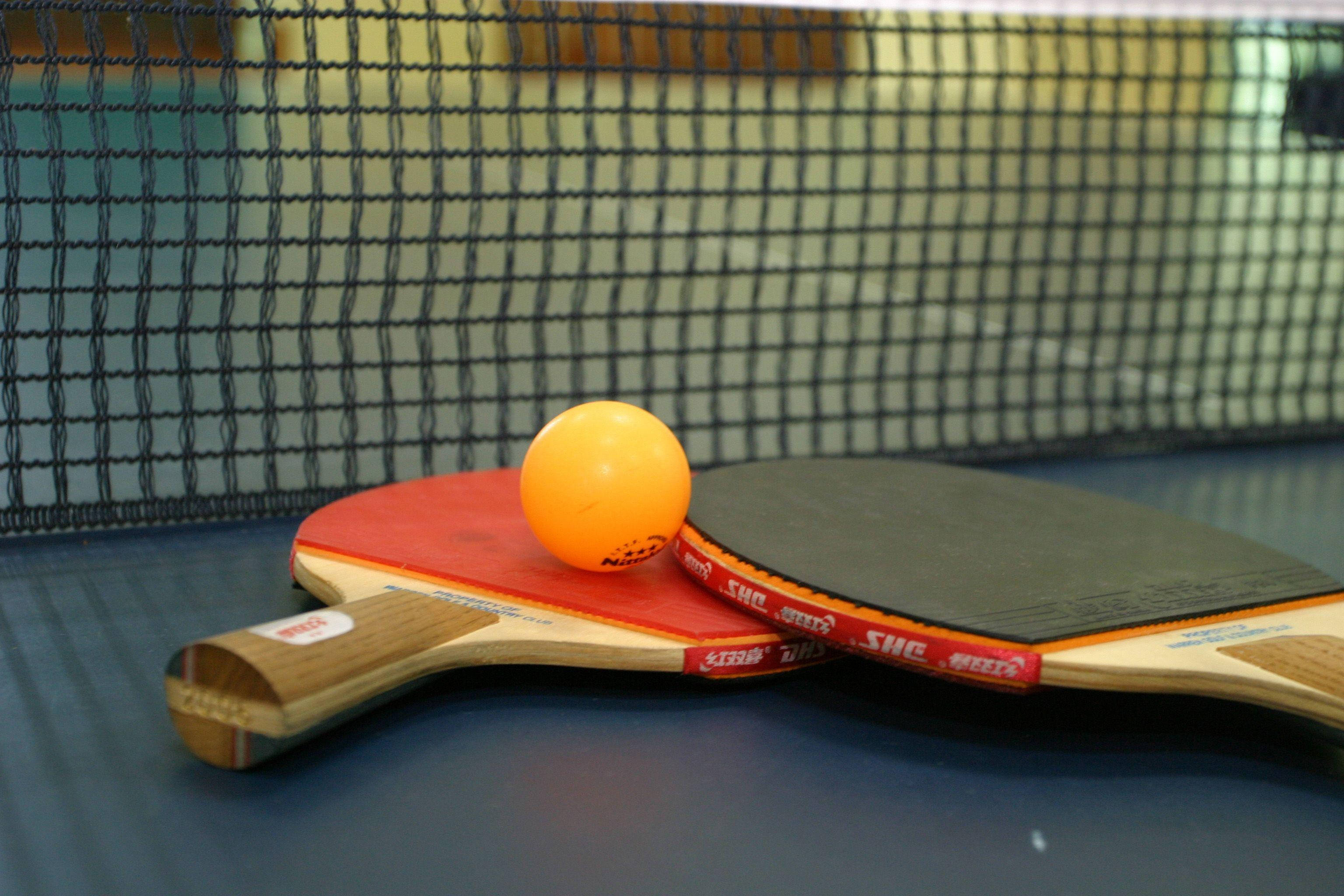 durable table tennis set, high performance table tennis set, red and black paddle, 2K Desktop Wallpaper