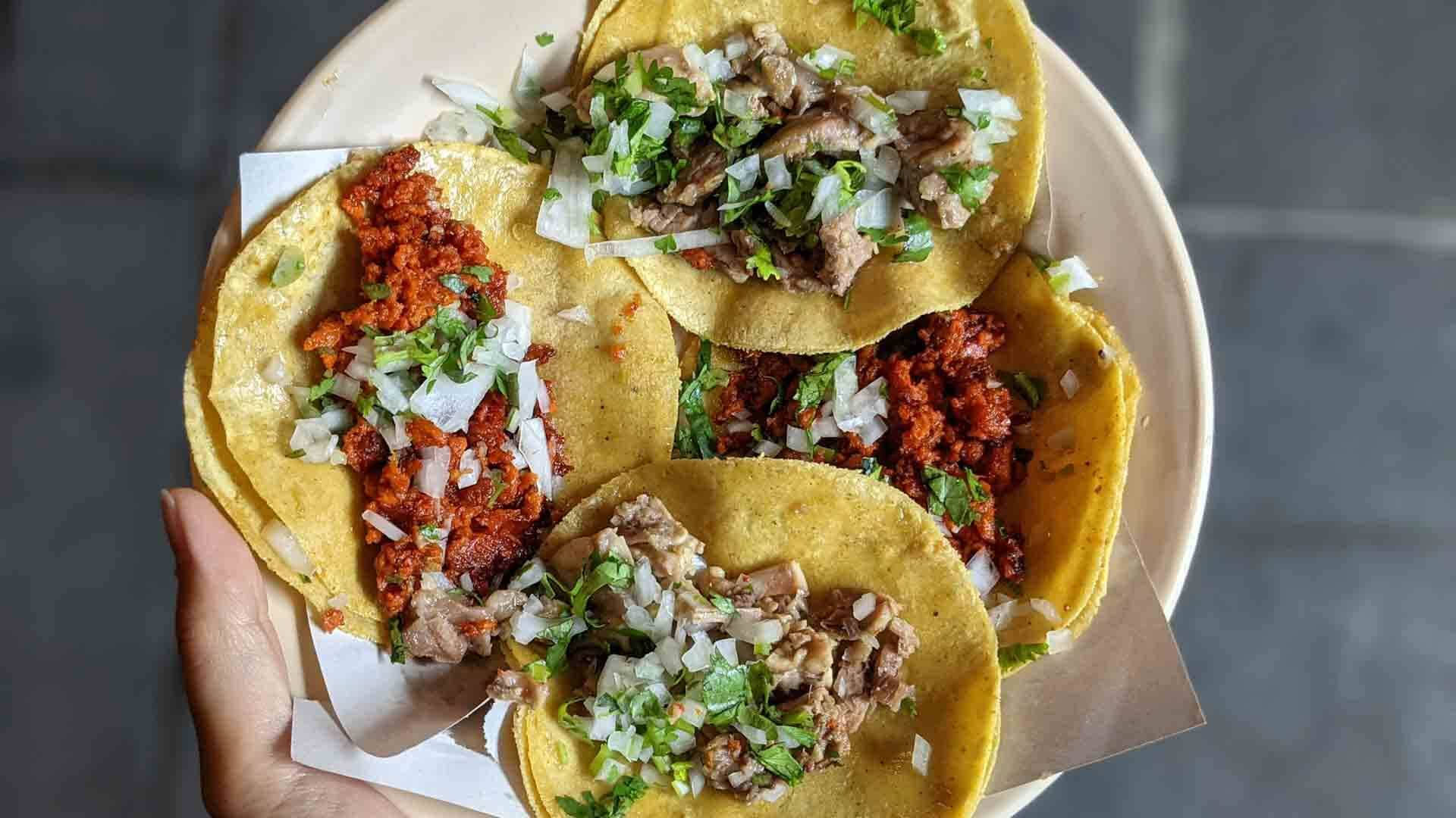 Tacos Al Pastor, chopped cilantro, four colorful tacos, Full HD Desktop Wallpaper
