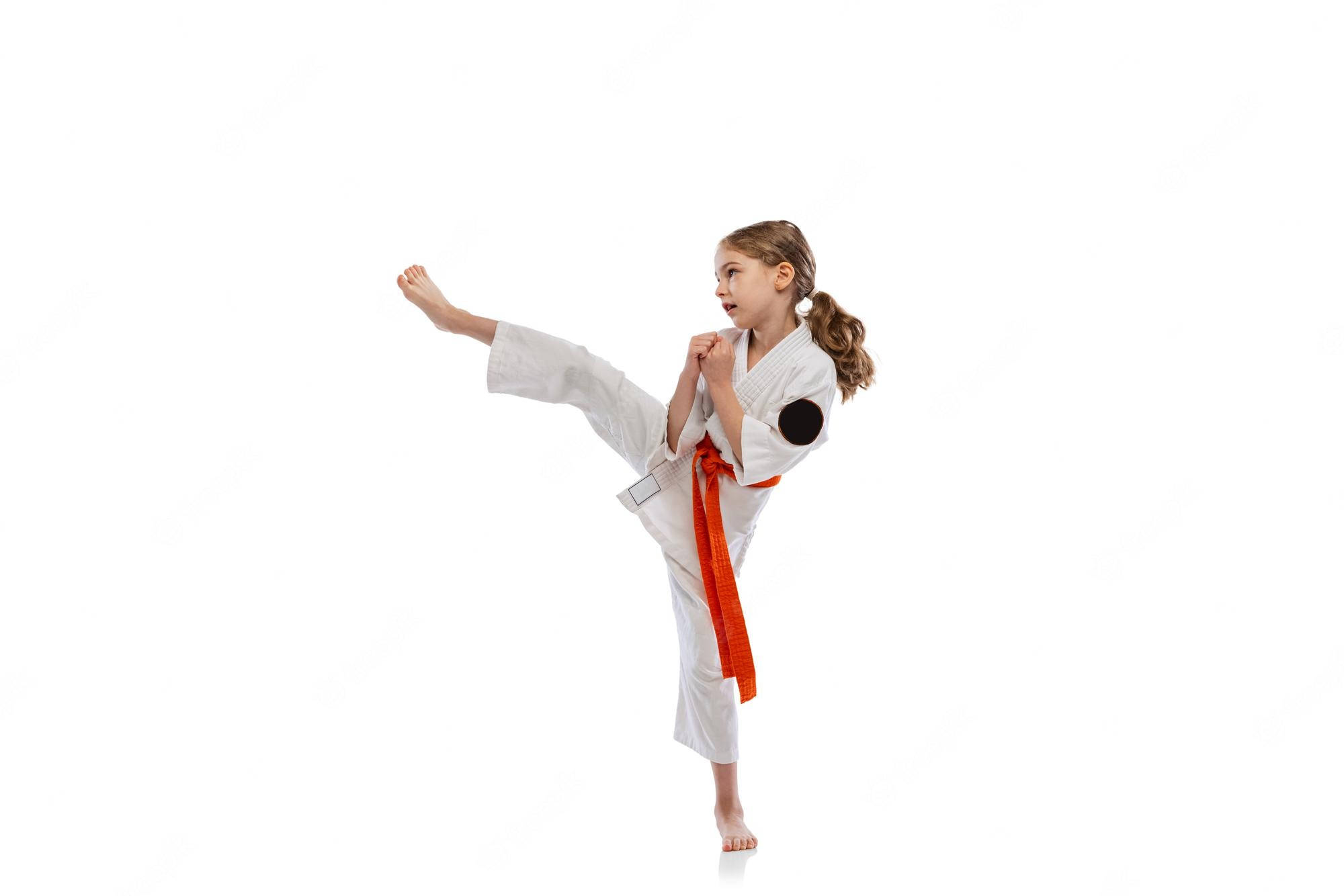 minimalist taekwondo girl side kick pose, young women executing a side kick in taekwondo, white karate gi, Full HD Desktop Wallpaper