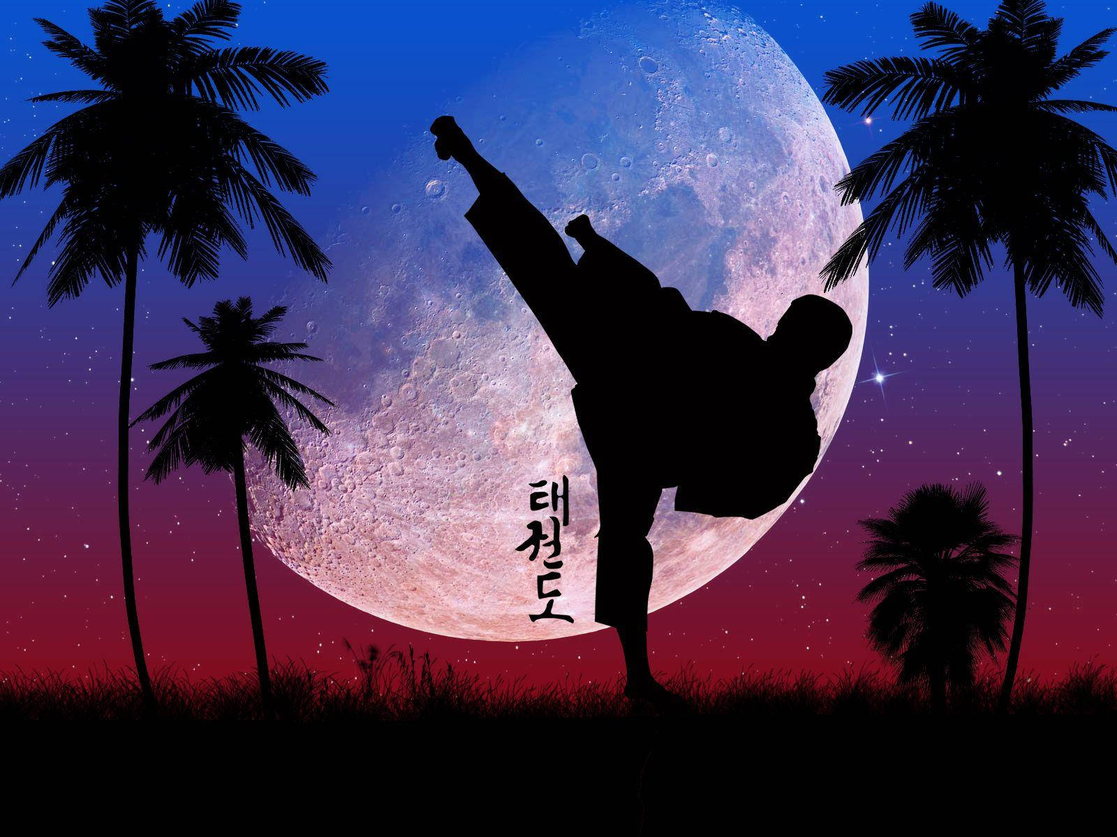 Full Moon Taekwondo, giant moon, palm trees, HD Desktop Wallpaper