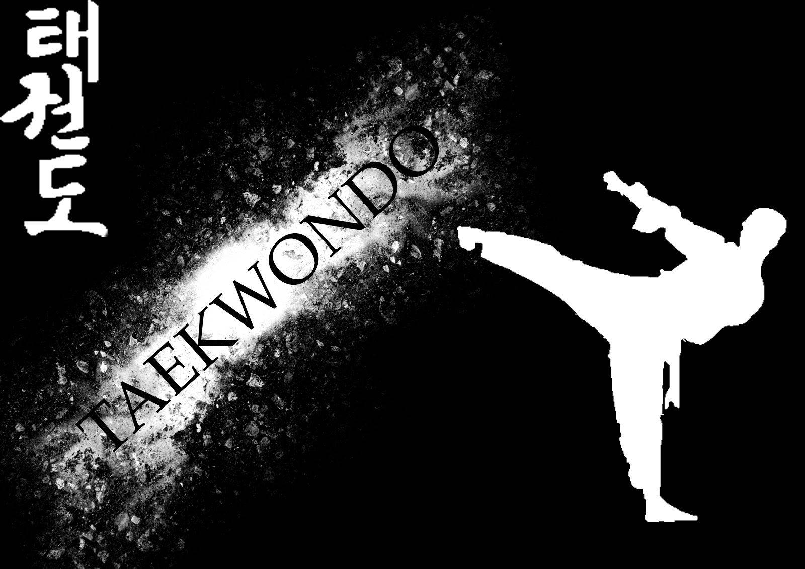 taekwondo fighter, mid-kick, black and white silhouette, HD Desktop Wallpaper