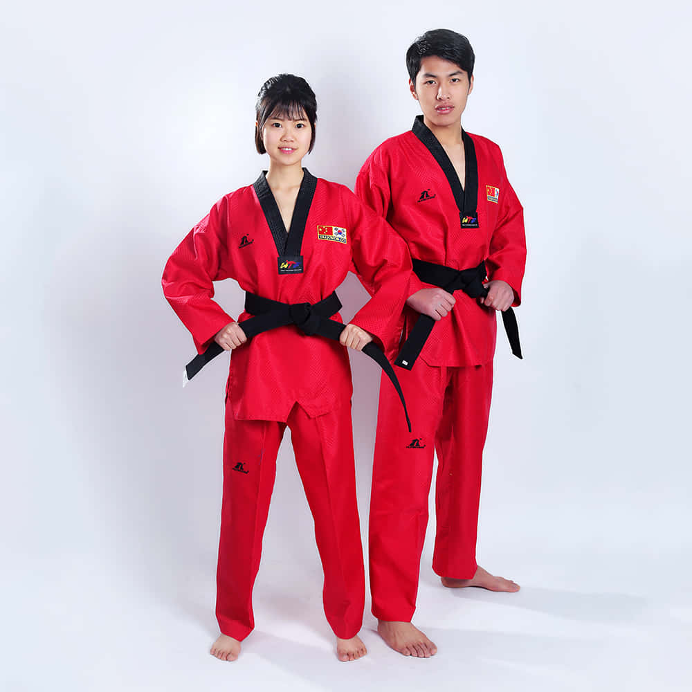 Taekwondo uniform, red doboks, black belts, SD Desktop Wallpaper