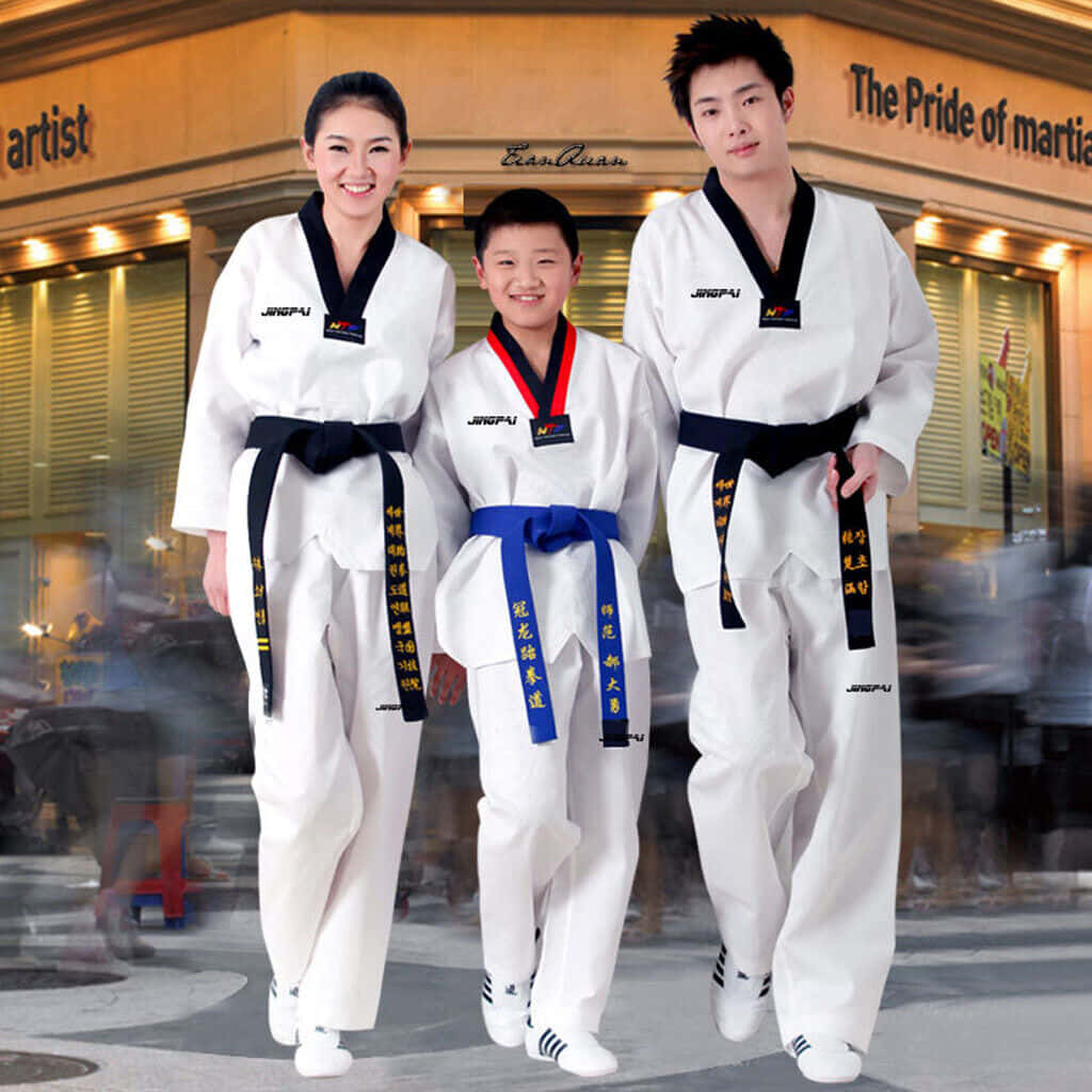 Taekwondo, white doboks, colored belts, SD Desktop Wallpaper