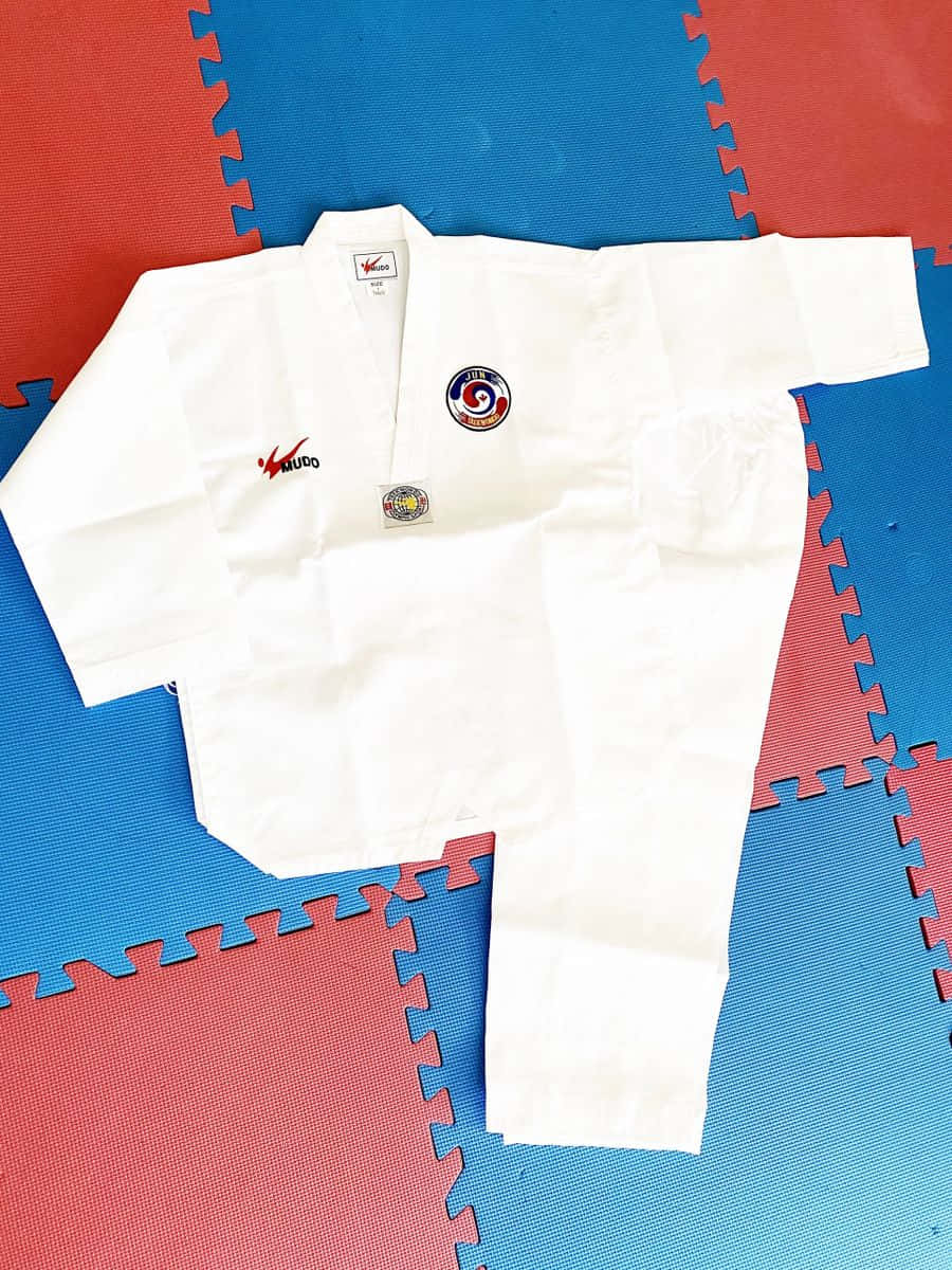 taekwondo uniform, white taekwondo uniform, red and blue interlocking mat, SD Phone Wallpaper