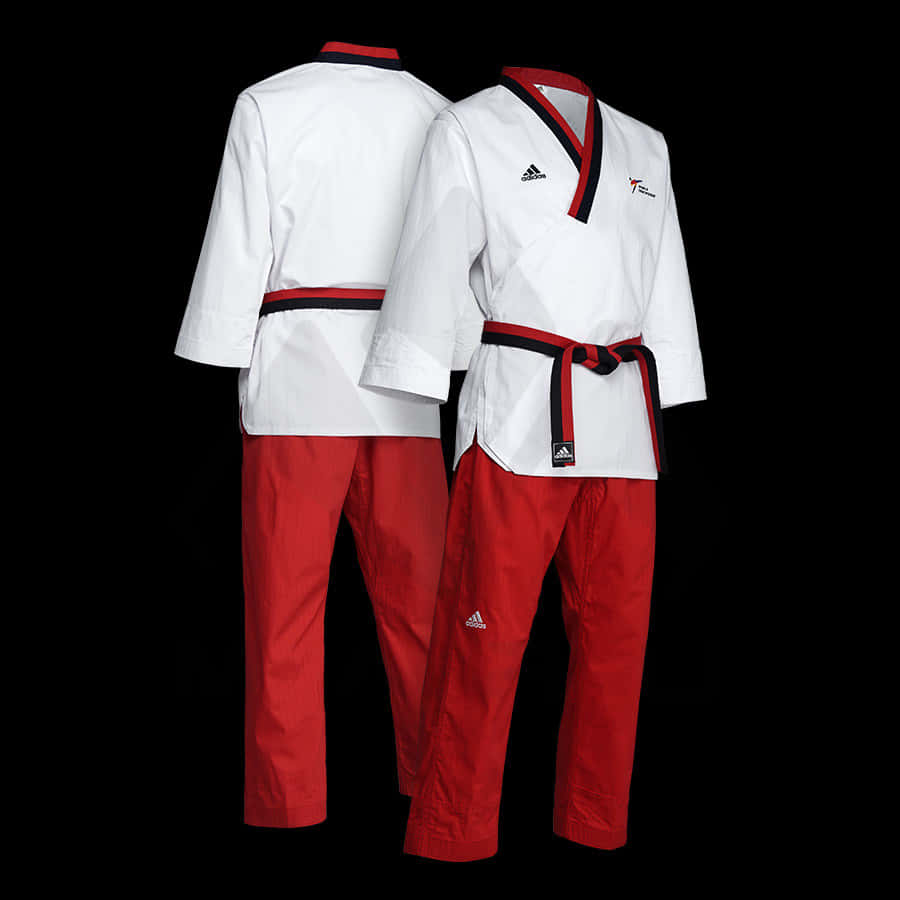 Women's Blue Taekwondo Uniform, white tops, red pants, SD Desktop Wallpaper