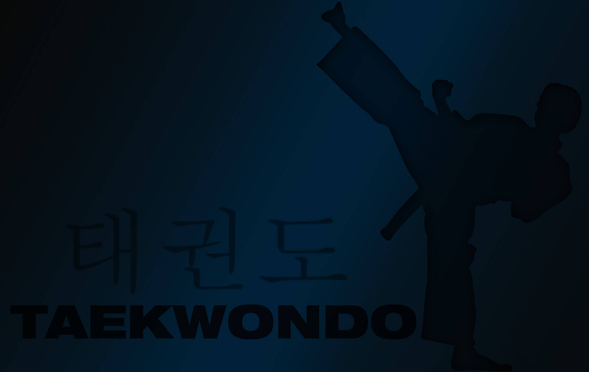 taekwondo, dark blue silhouette, dark blue gradient background, HD Desktop Wallpaper