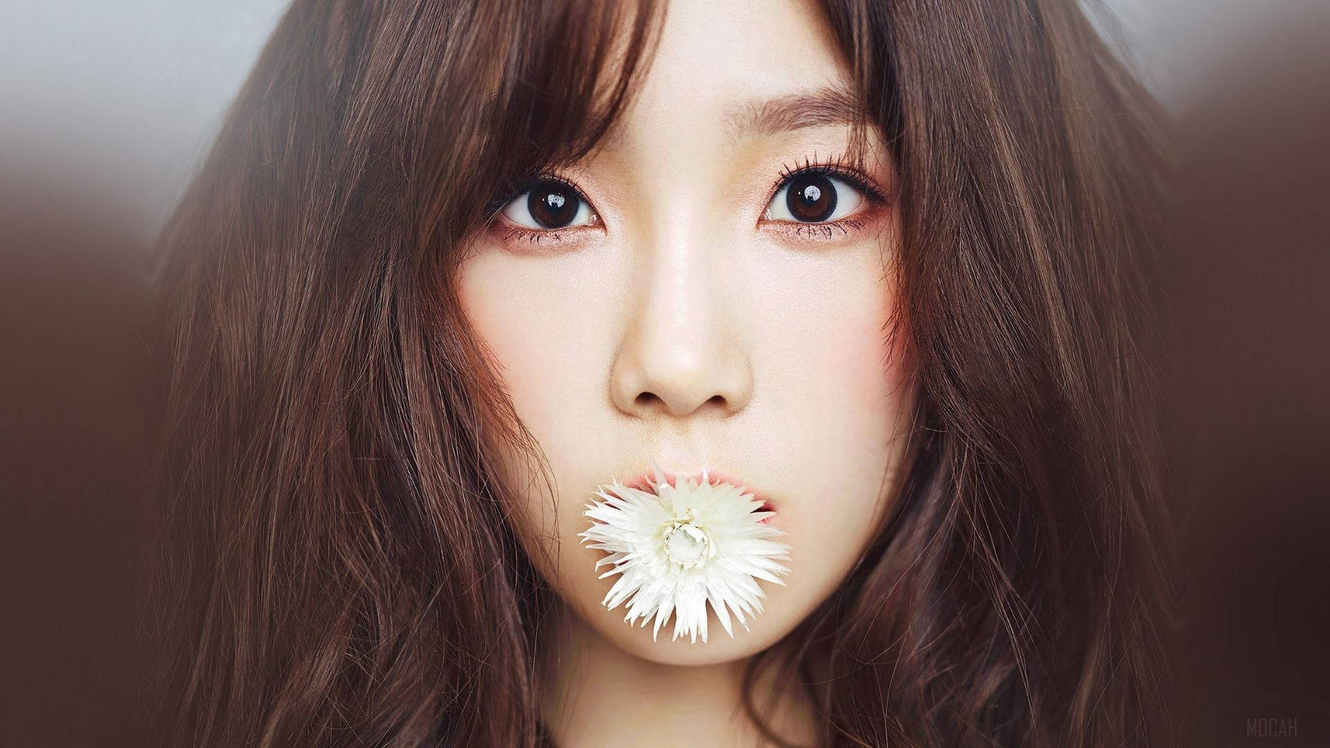 Taeyeon, brown hair, white dandelion flower, Full HD Desktop Wallpaper