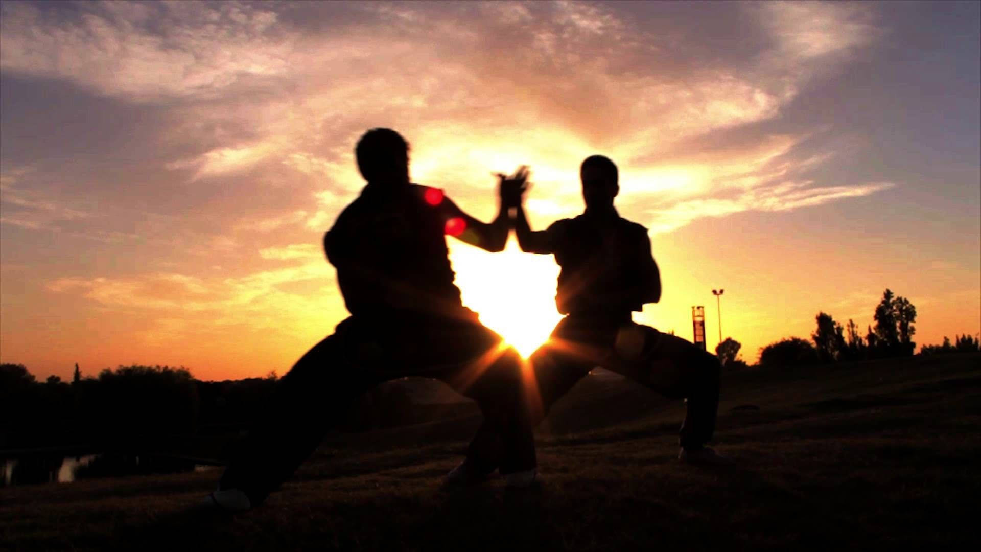 Tai Chi, silhouetted martial artists, dynamic pose, Full HD Desktop Wallpaper