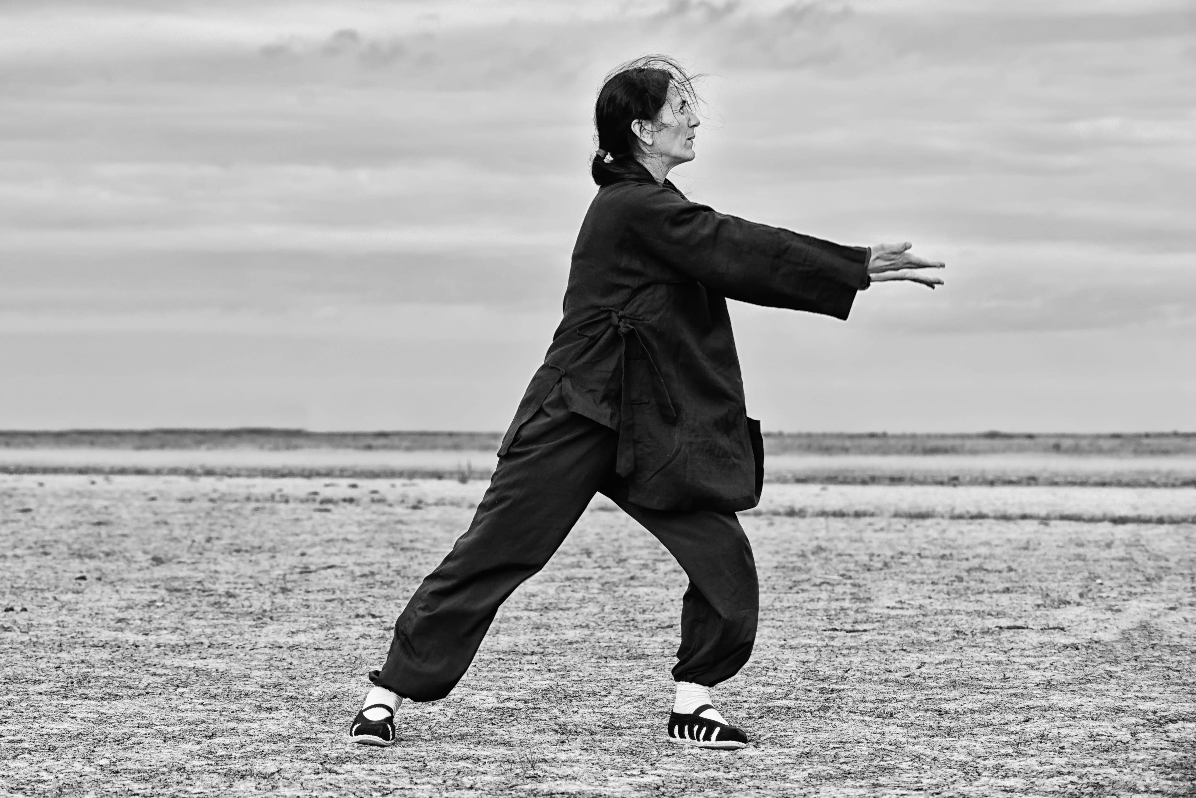 tai chi, black martial arts attire, vast open field, 2K Desktop Wallpaper