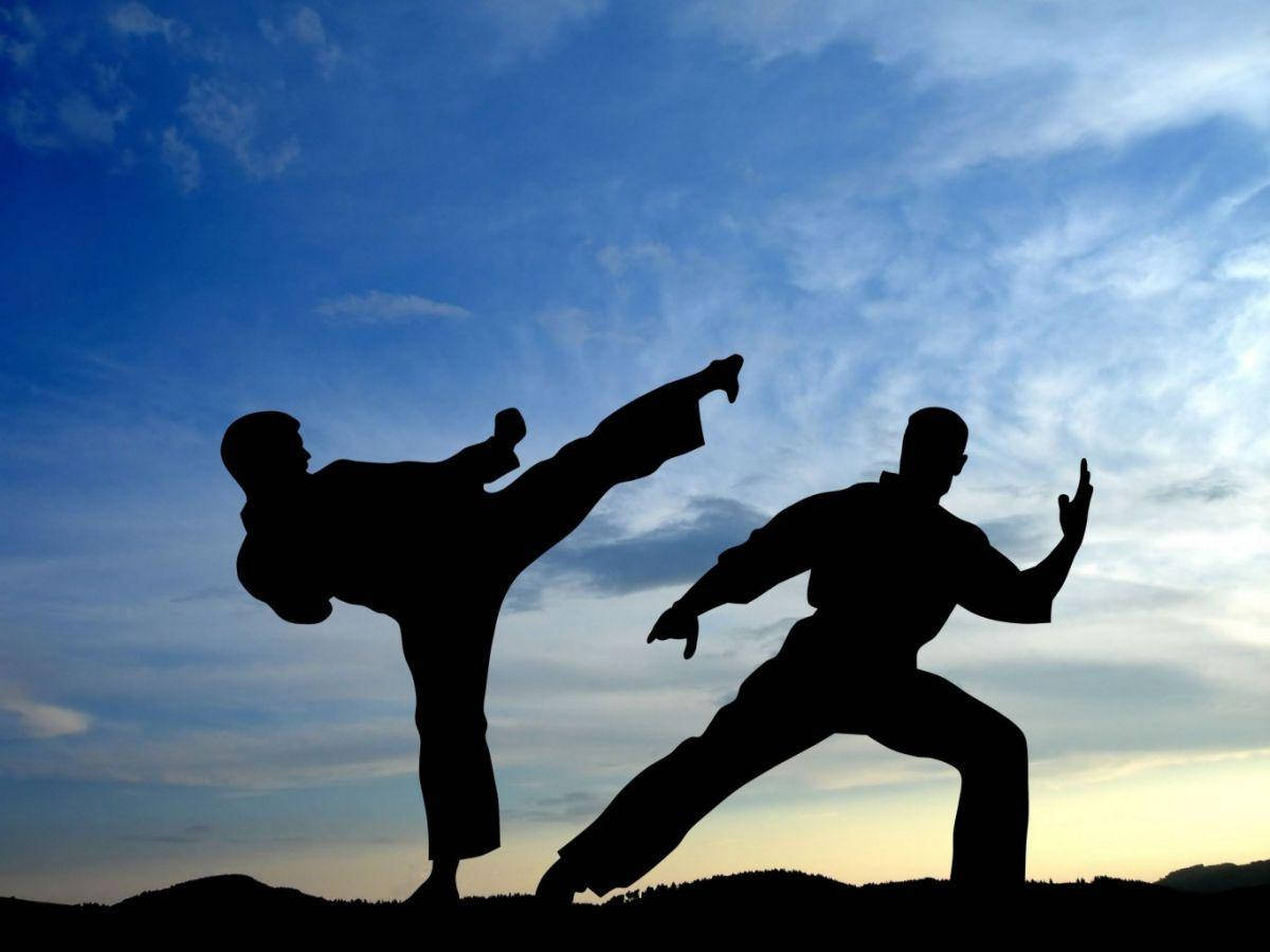tai chi, silhouette, twilight sky, SD Desktop Wallpaper