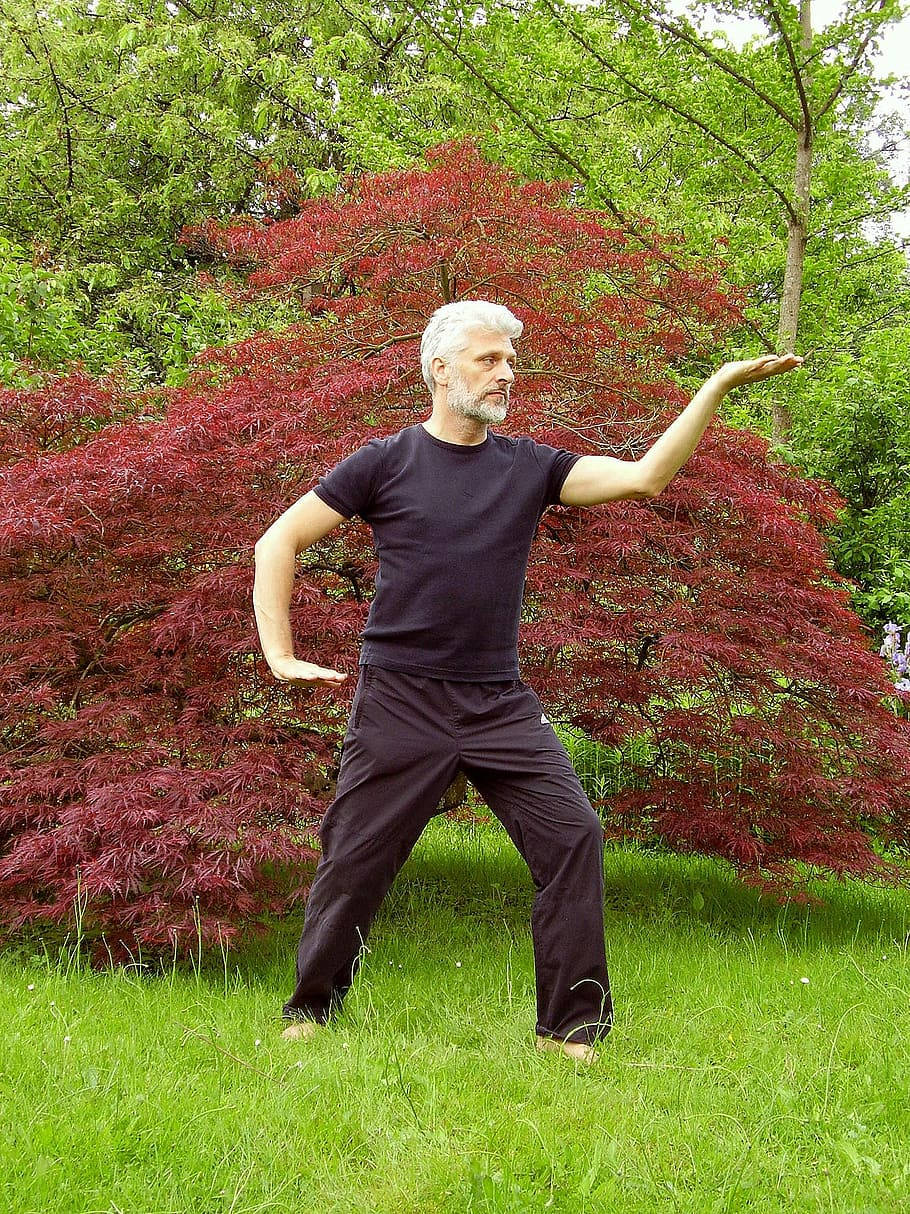 Garden Tai Chi, gray-haired man, black attire, SD Phone Wallpaper