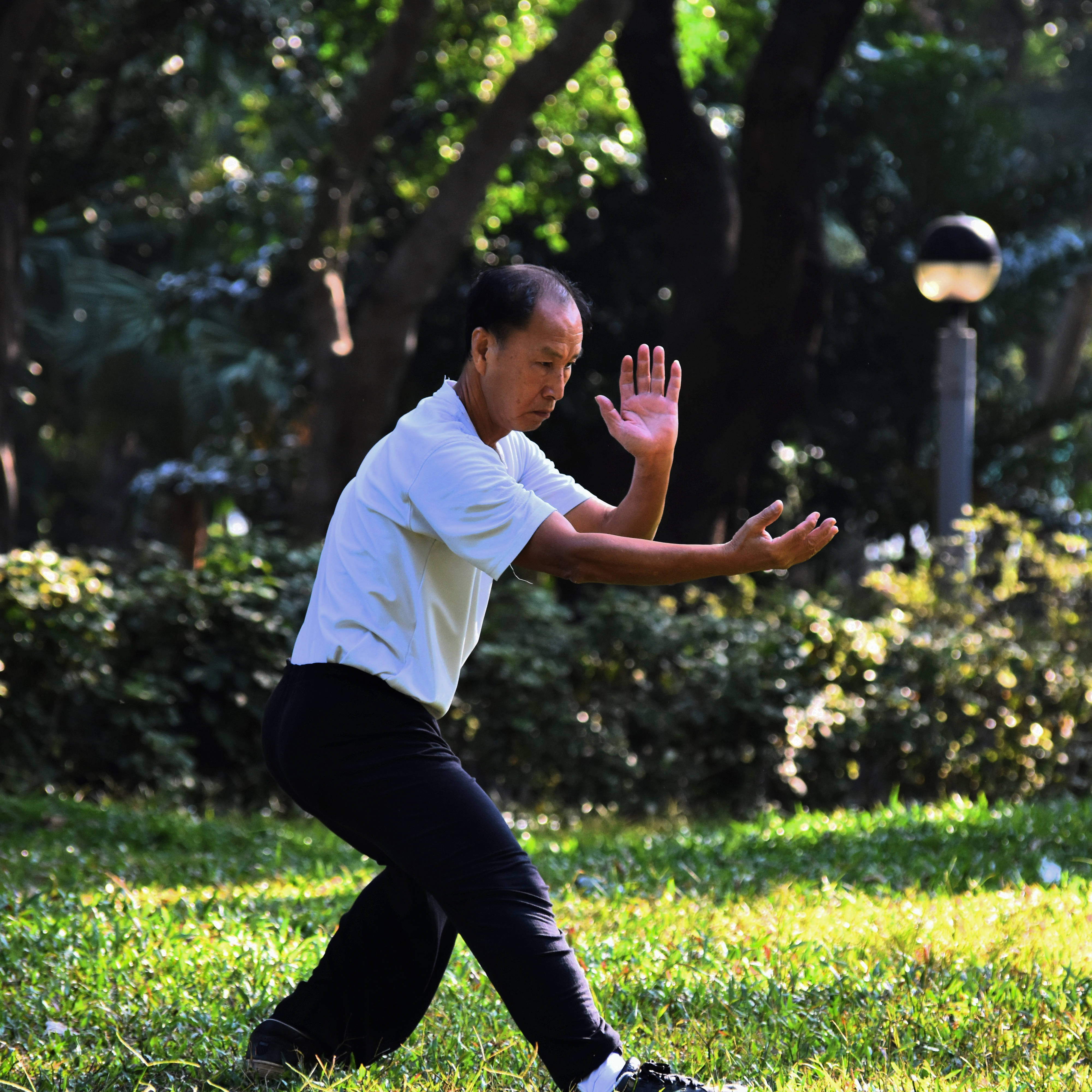tai chi stance, sunlit park, lush green trees, 4K Desktop Wallpaper