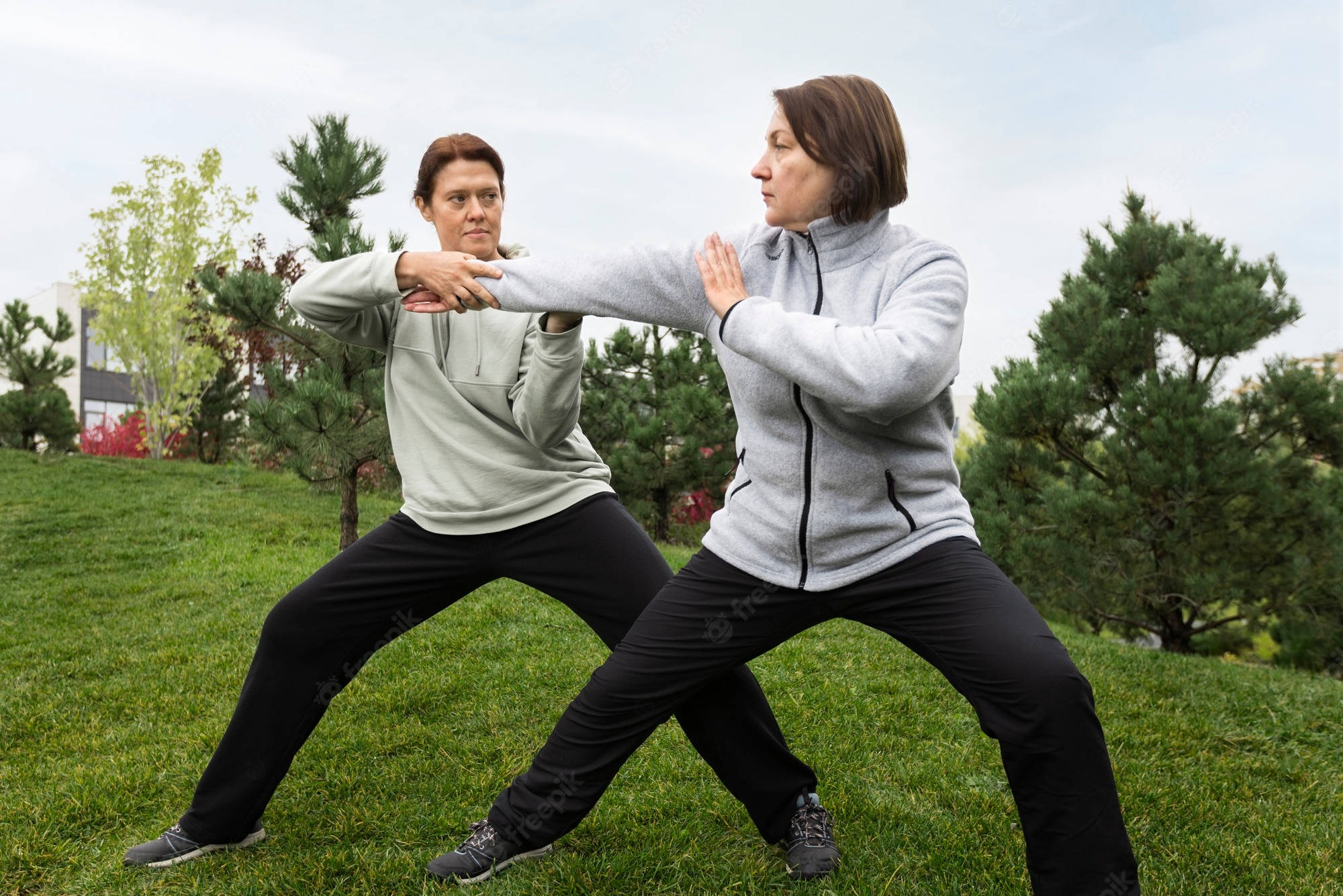 Tai Chi, gray jackets, grassy hill, Full HD Desktop Wallpaper