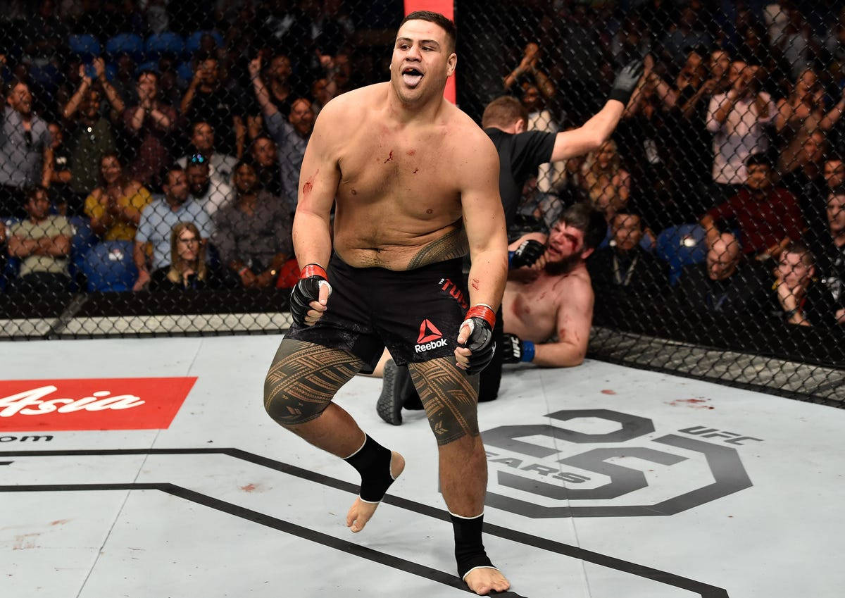 Tai Tuivasa, octagon, chain-link fence, SD Desktop Wallpaper