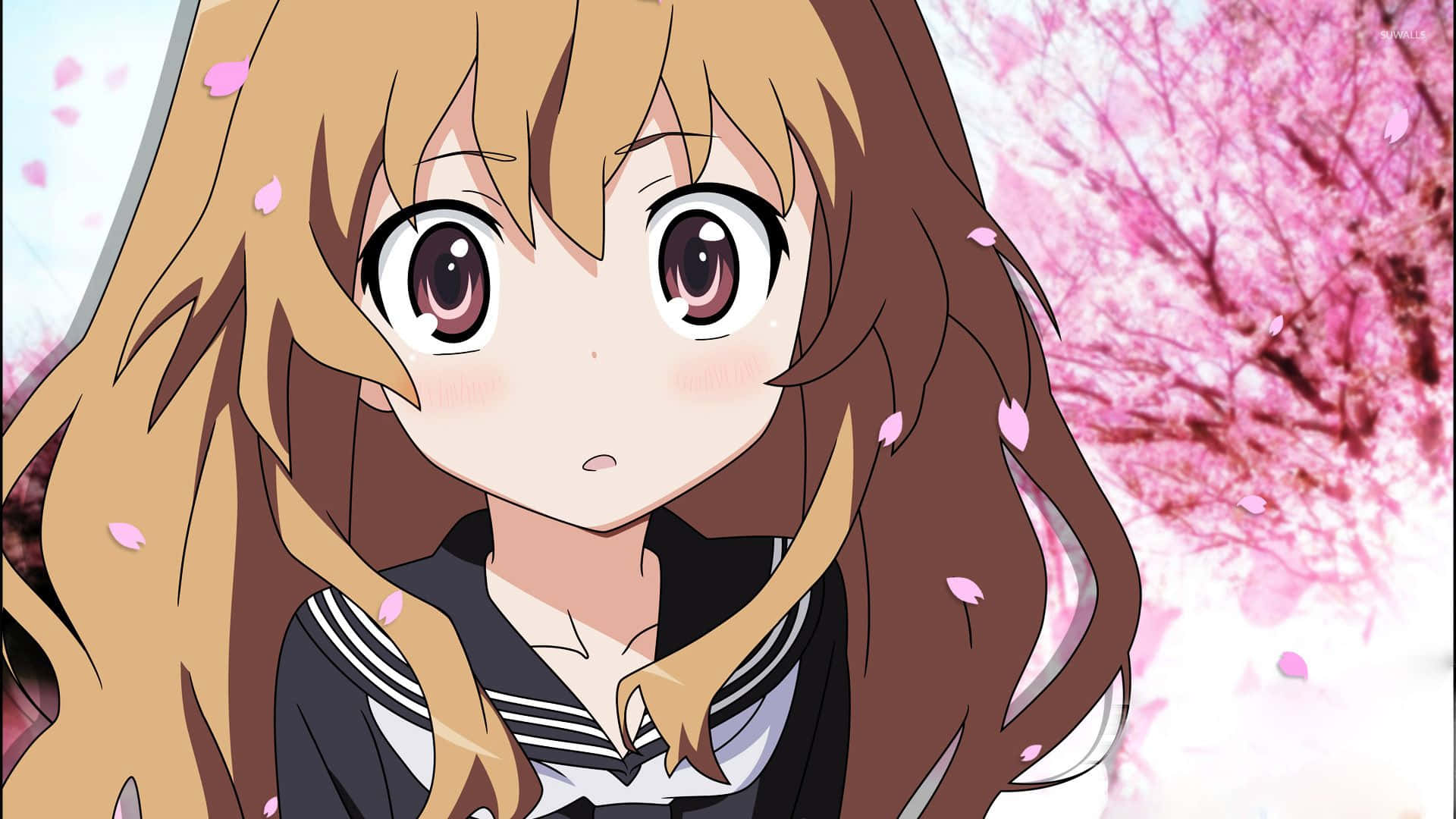 Taiga Aisaka, Cherry Blossom Effect, sailor uniform, Full HD Desktop Wallpaper