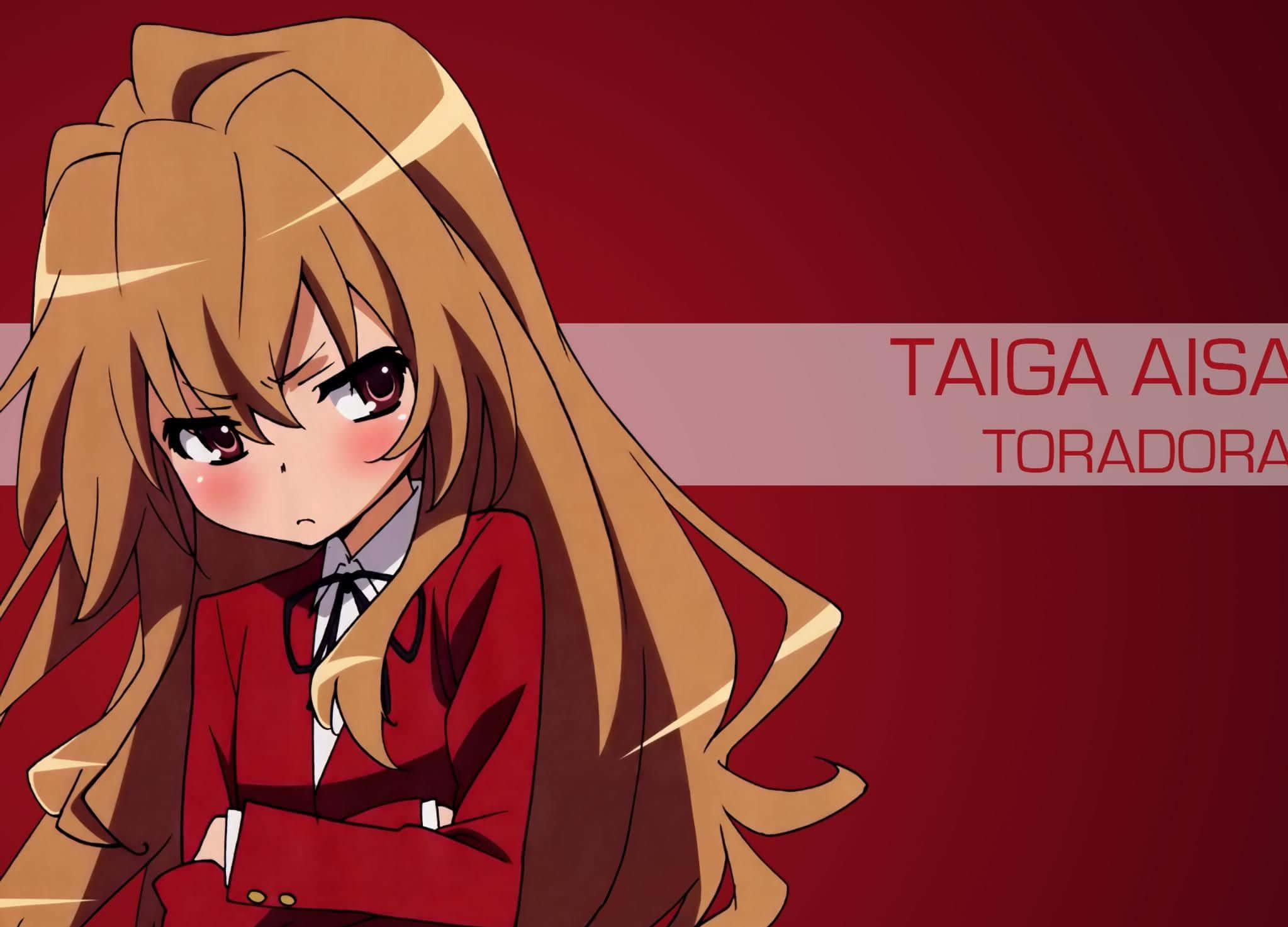 Taiga Aisaka, red eyes, long brown hair, Full HD Desktop Wallpaper