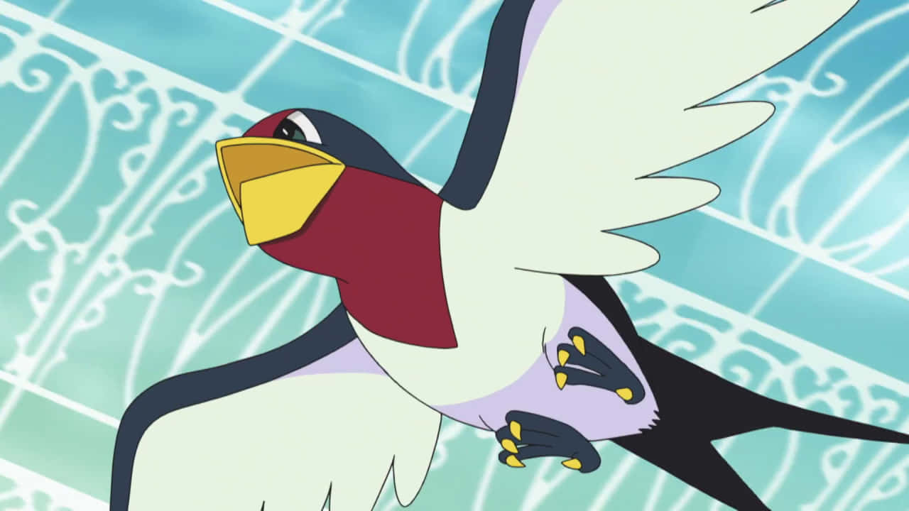 Taillow, red neck, yellow beak, HD Desktop Wallpaper