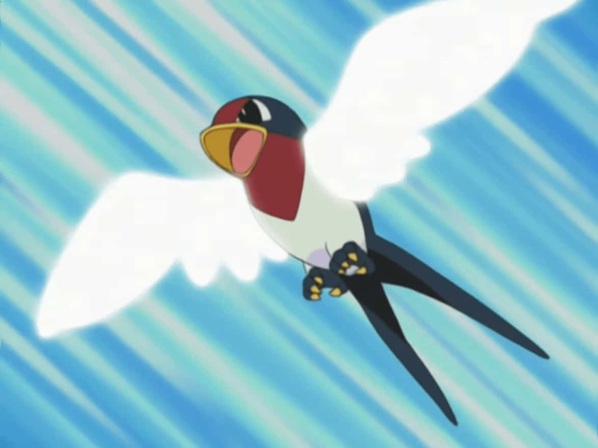 Taillow, white wings, red chest, SD Desktop Wallpaper