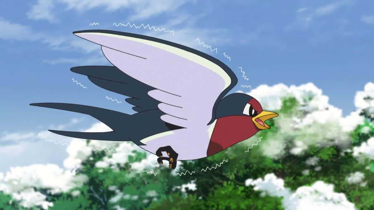 Taillow, red head, white wings, SD Desktop Wallpaper