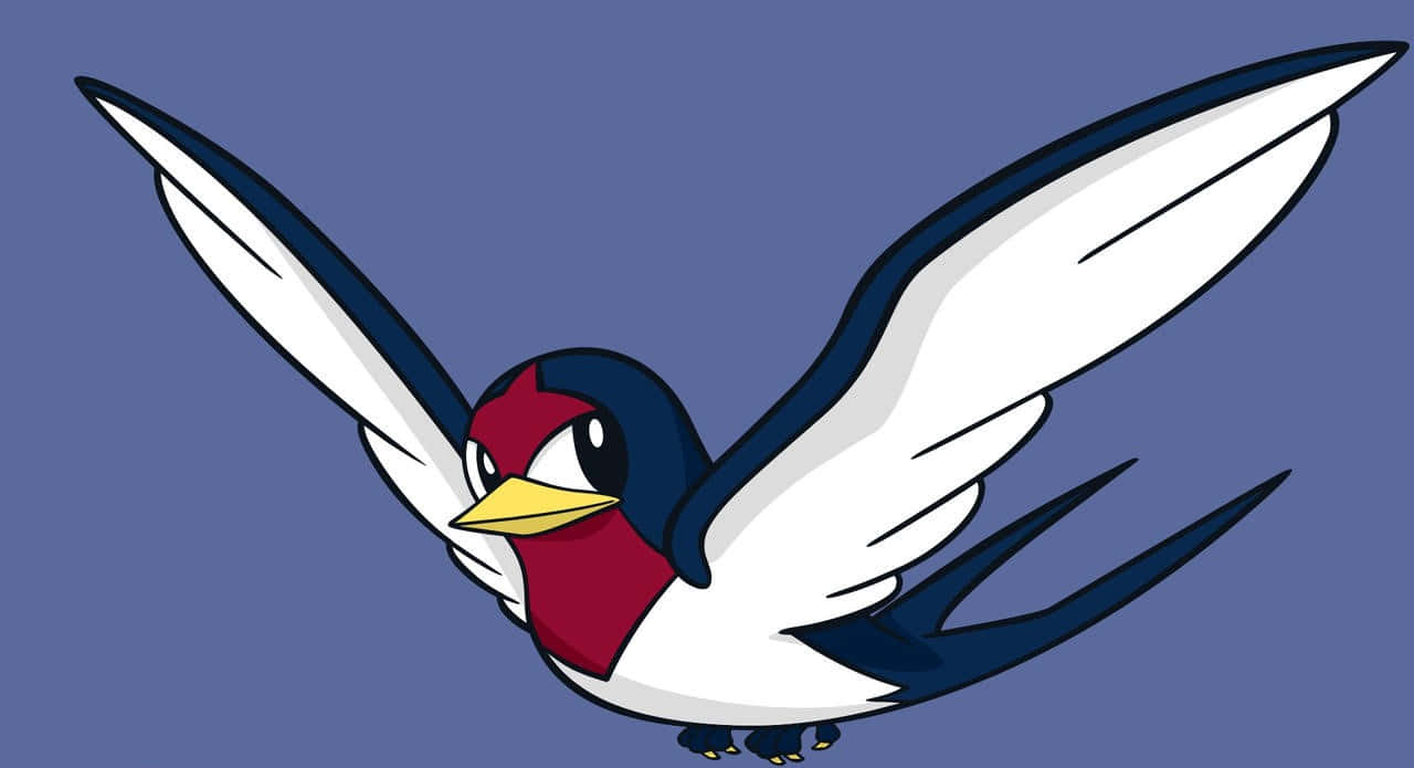 Taillow, white wings, red head, HD Desktop Wallpaper