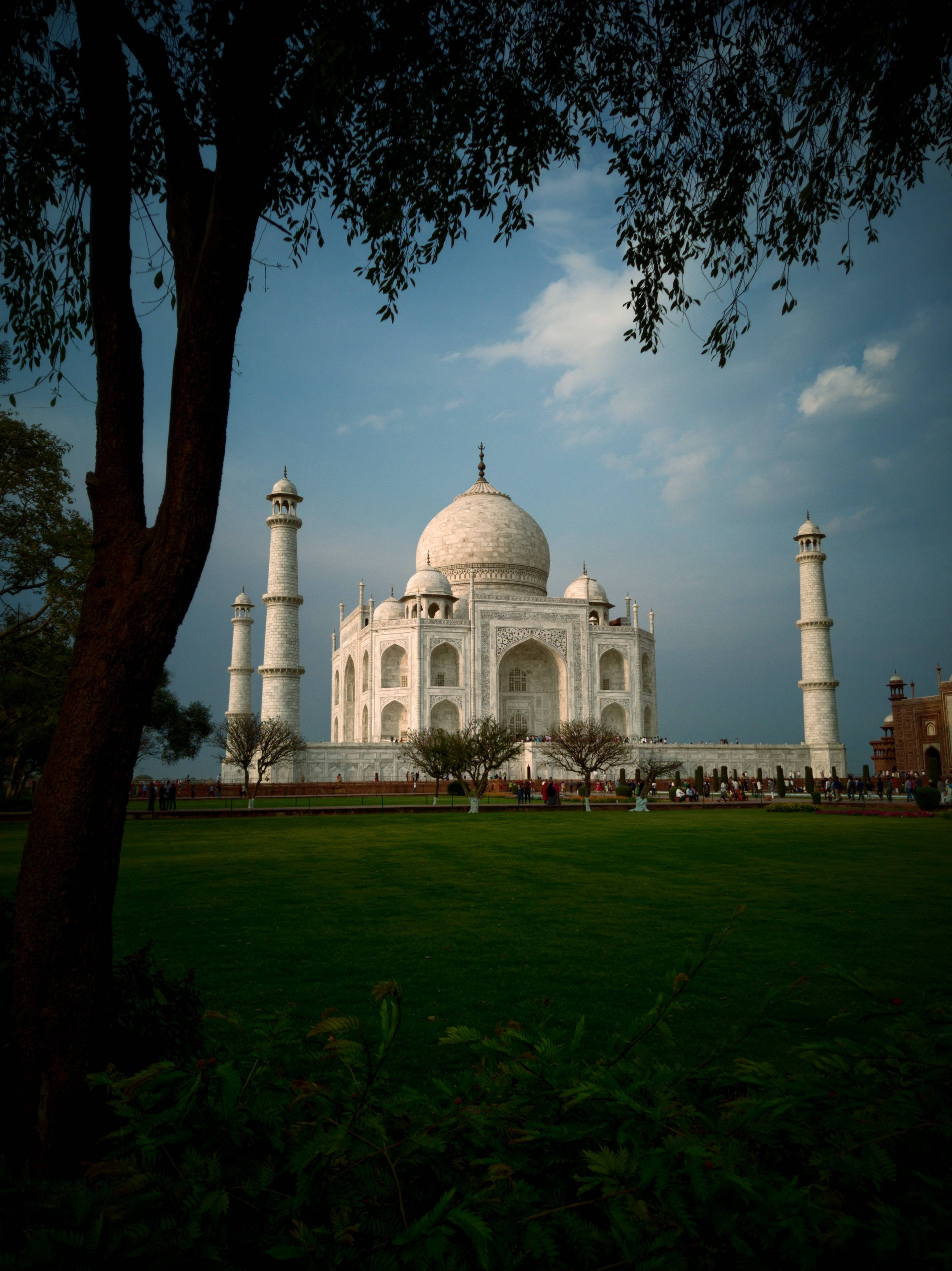 The Taj Mahal, partly cloudy sky, dark tree branches, 2K Phone Wallpaper