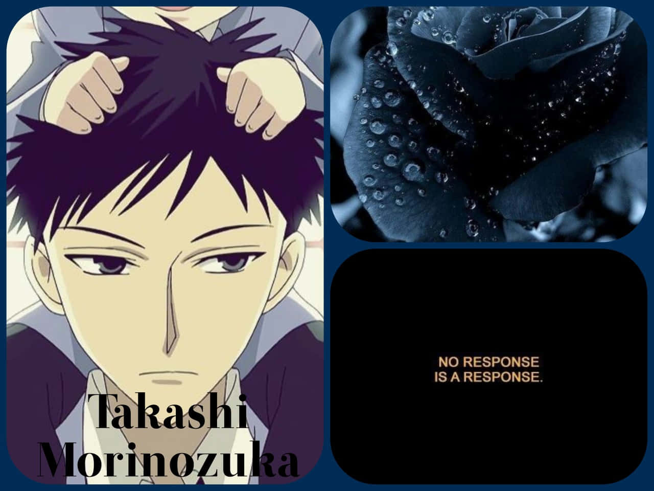Takashi Morinozuka, black rose, water droplets, HD Desktop Wallpaper