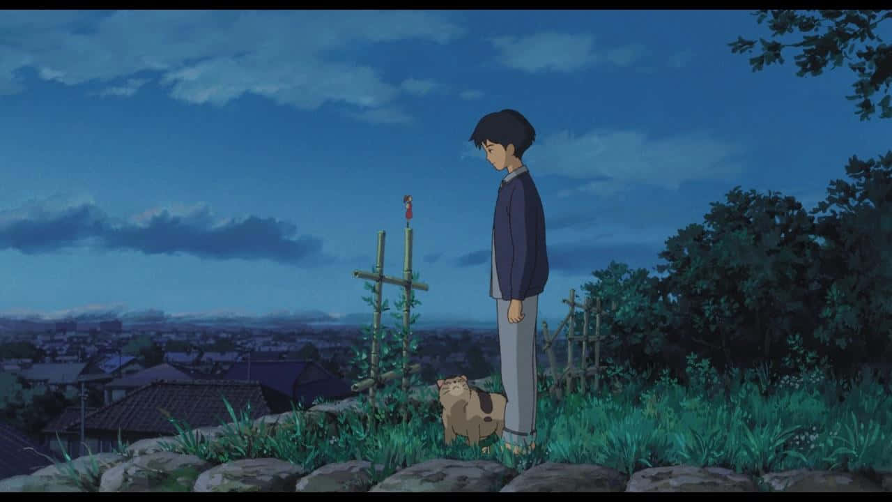 Tales From Earthsea, young boy, cat, HD Desktop Wallpaper