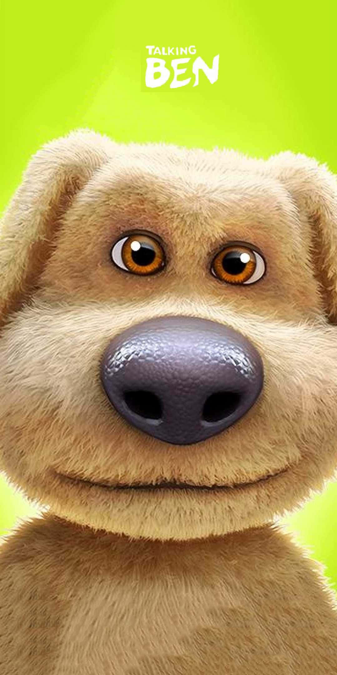 Talking Ben, golden retriever, big brown eyes, Full HD Phone Wallpaper