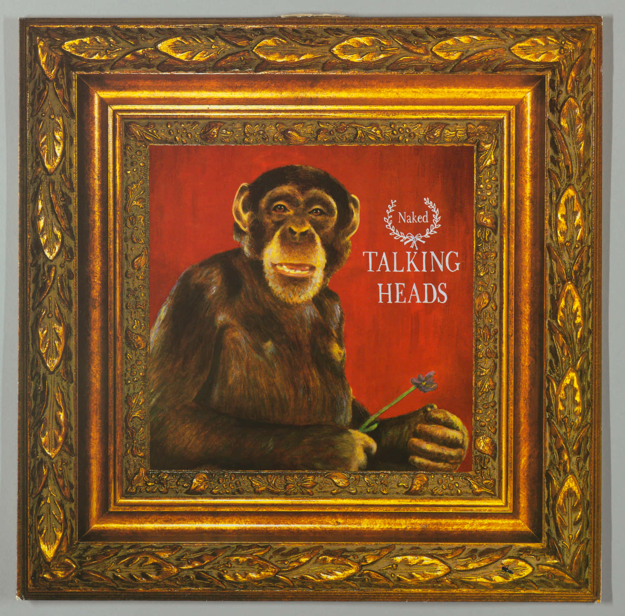 Talking Heads, chimpanzee, flower, Full HD Desktop Wallpaper