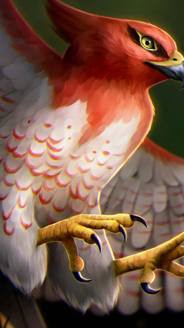Talonflame, red and white, bird of prey, SD Phone Wallpaper