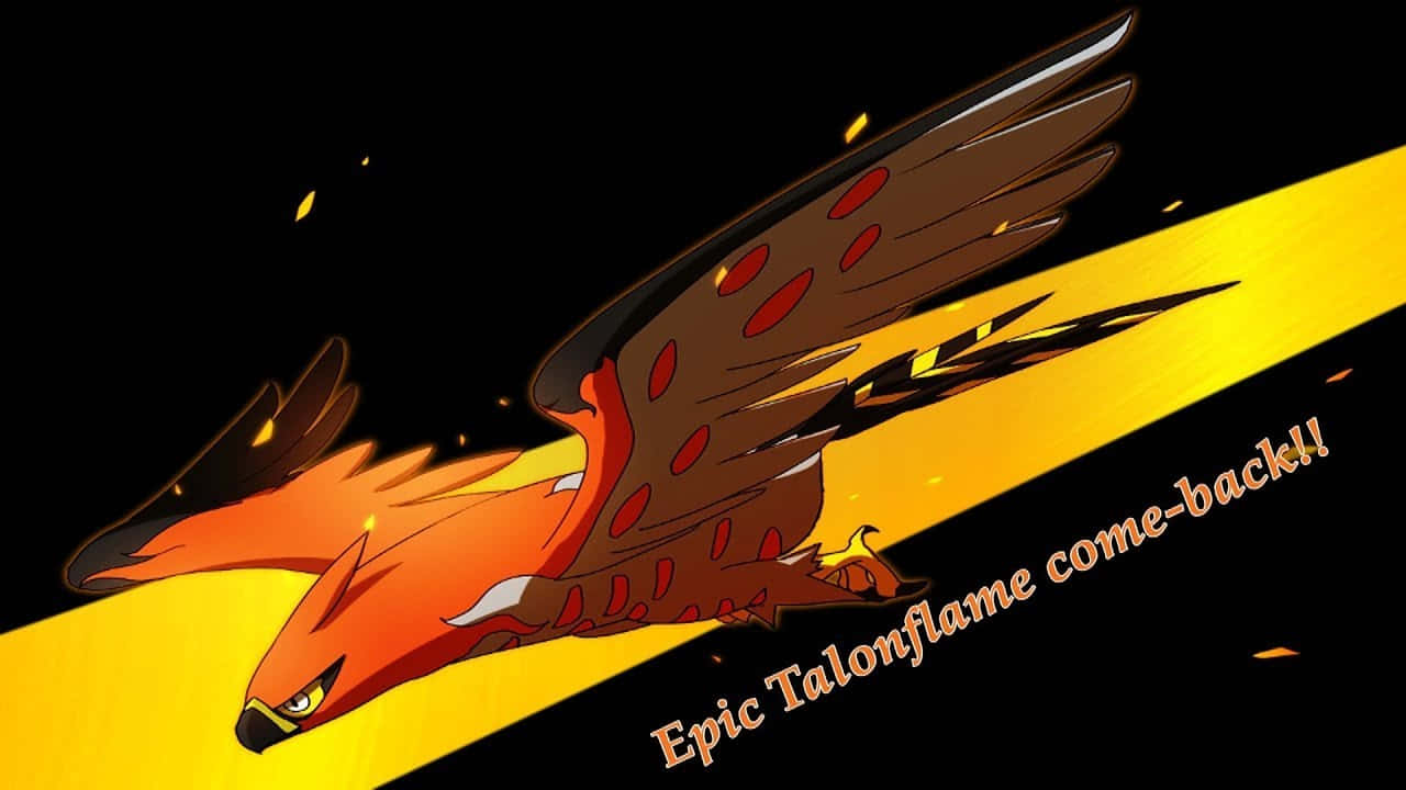 Talonflame, fiery orange, black background, HD Desktop Wallpaper