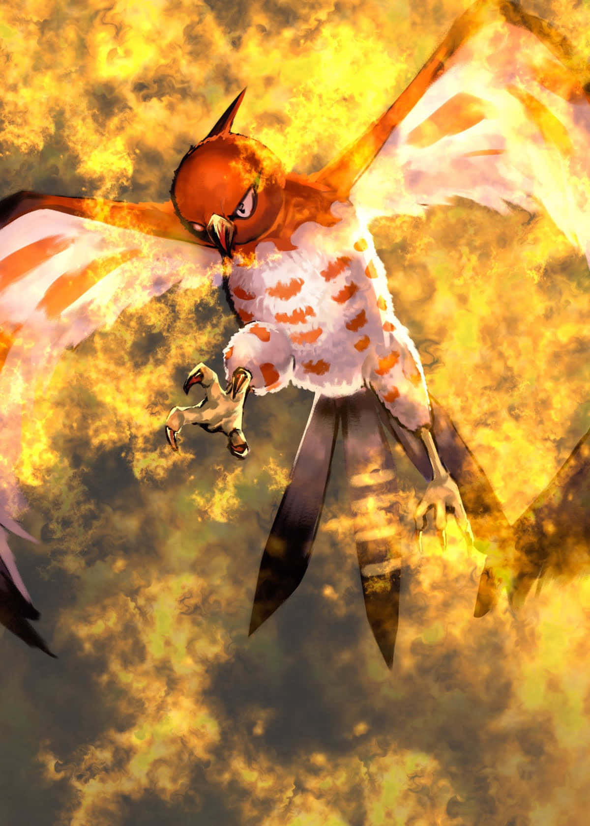 Talonflame, fire sky dive, fiery owl, HD Phone Wallpaper