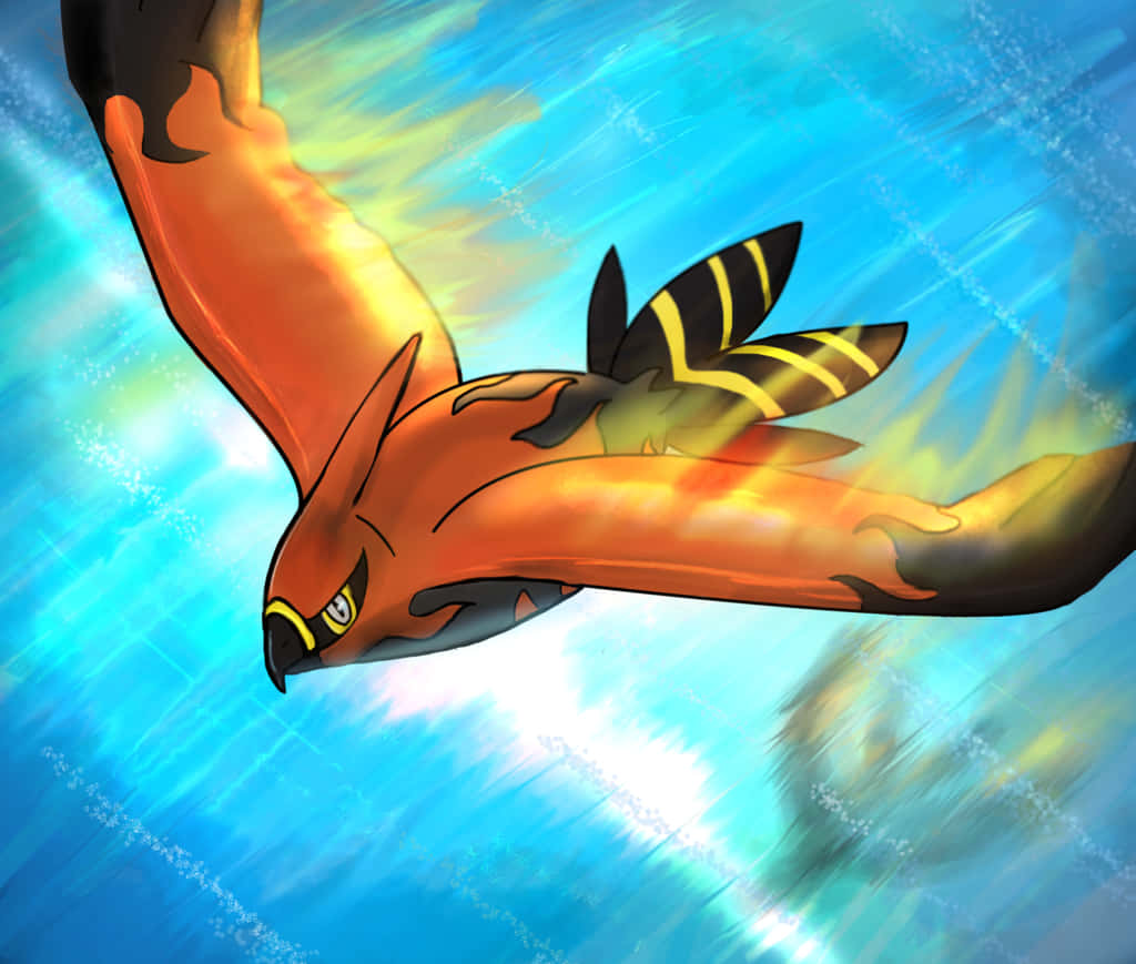 Talonflame, fiery orange, hawklike creature, SD Desktop Wallpaper