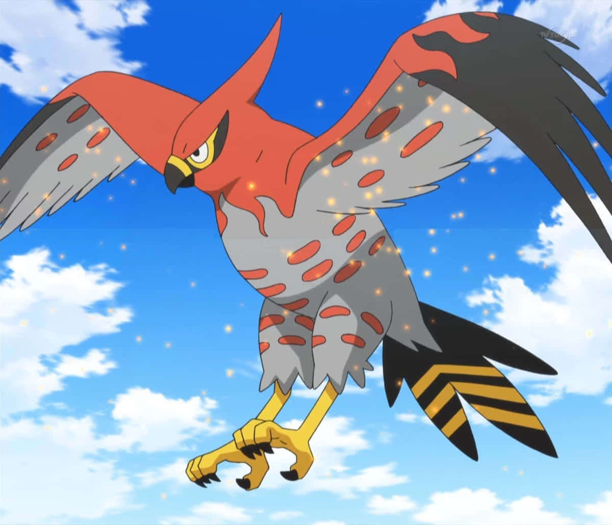 Talonflame, fiery red and gray, bird-like Pokémon, SD Desktop Wallpaper