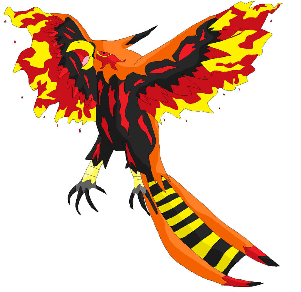 Talonflame, red yellow and black flame patterns, fiery bird, SD Desktop Wallpaper