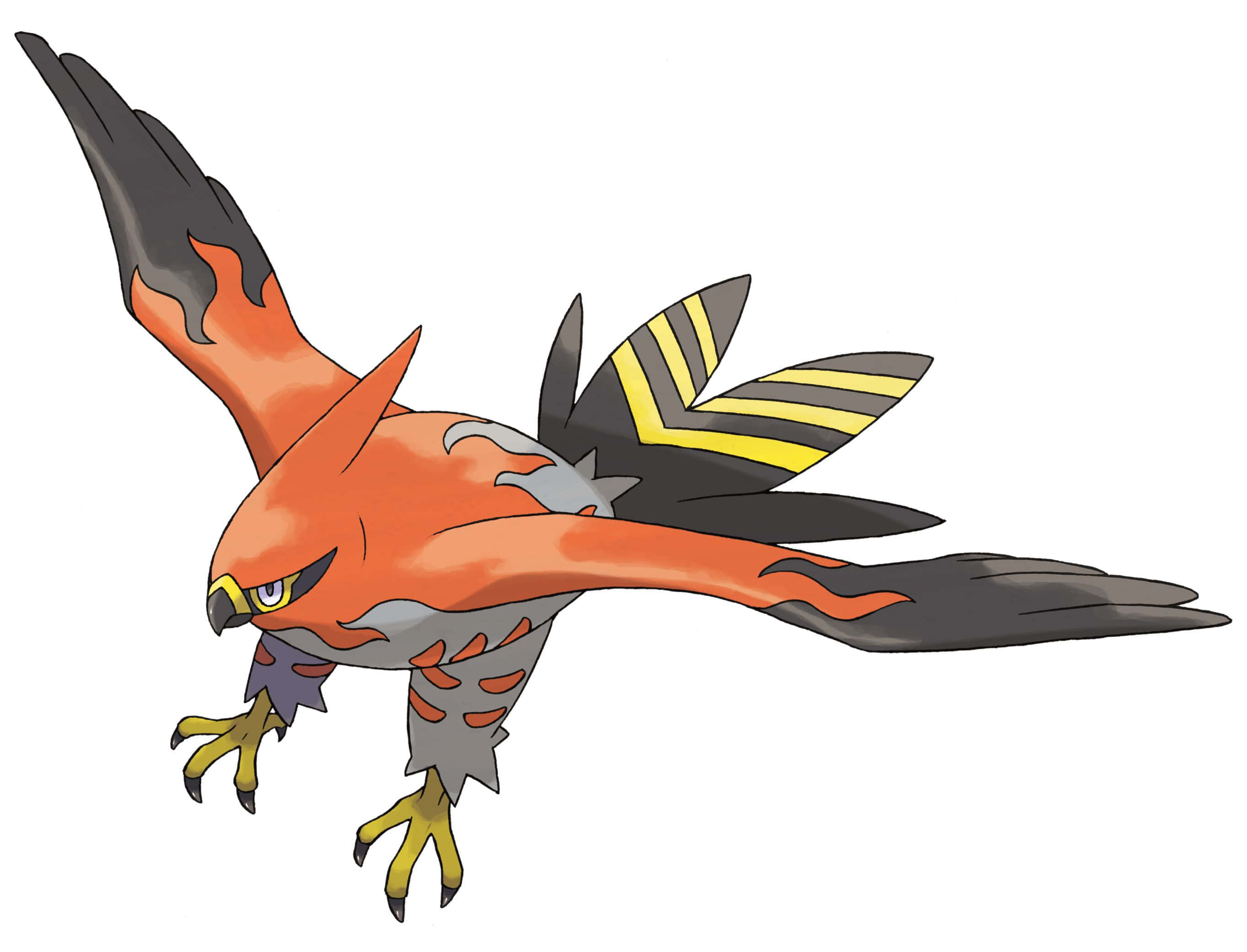 Talonflame, fiery orange, black wings, 2K Desktop Wallpaper