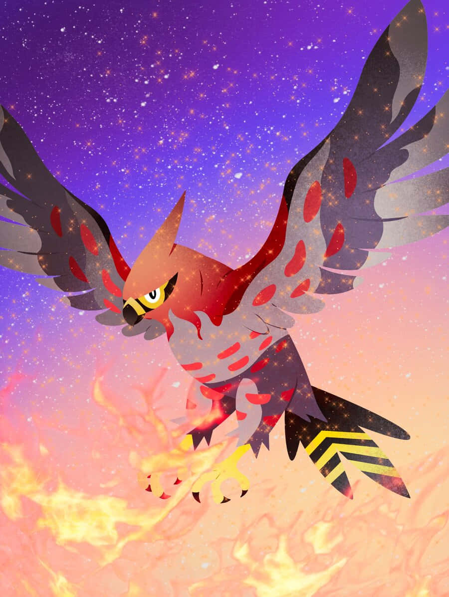 Talonflame, fire sky, red and gray feathers, SD Phone Wallpaper