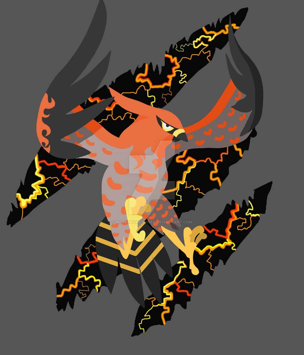 Talonflame, orange hawk, black wings, SD Phone Wallpaper