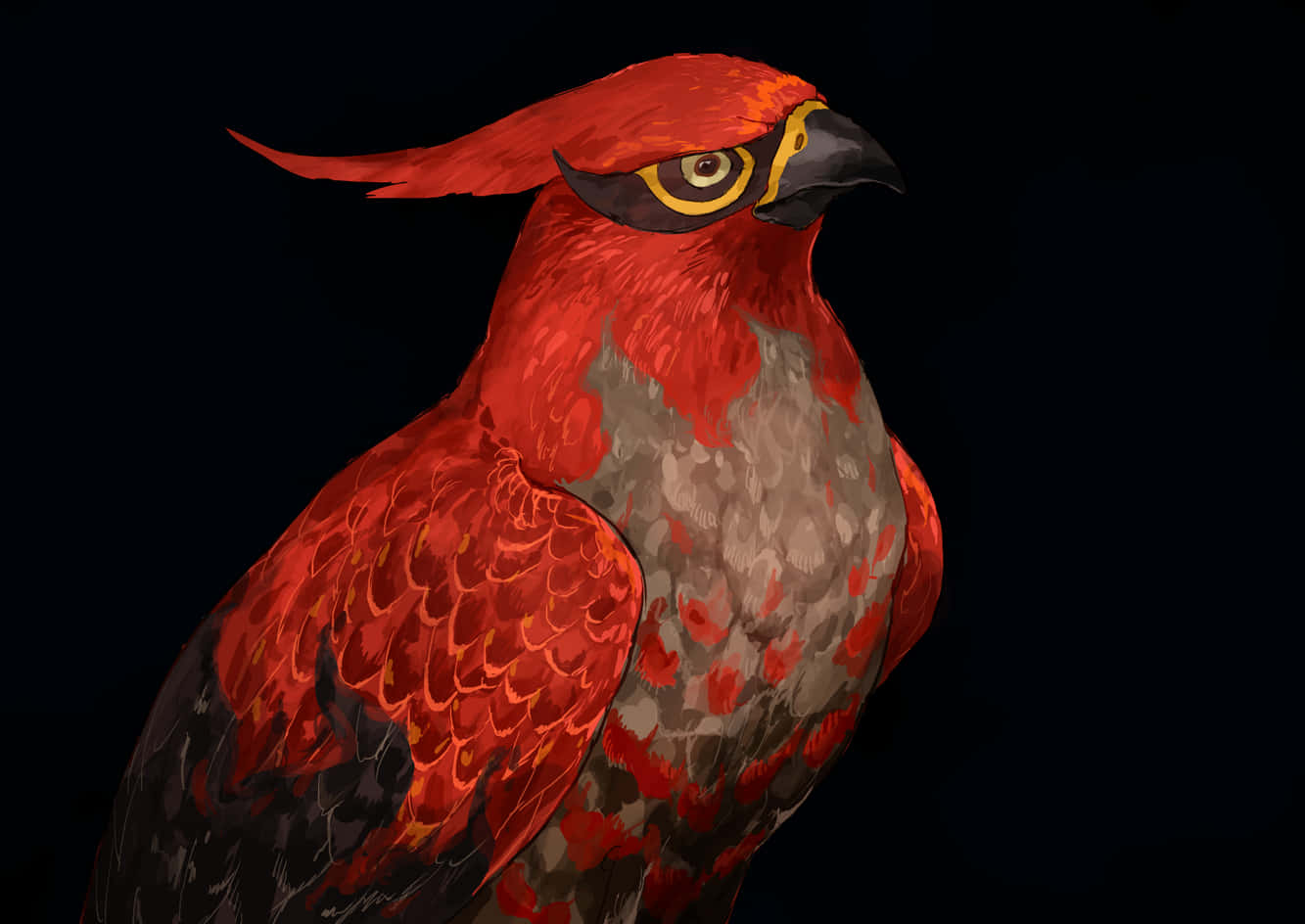 Talonflame, red bird, fiery crest, HD Desktop Wallpaper