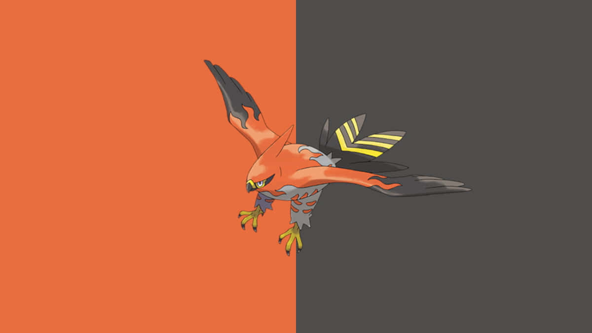 Talonflame, fiery orange, hawklike, SD Desktop Wallpaper