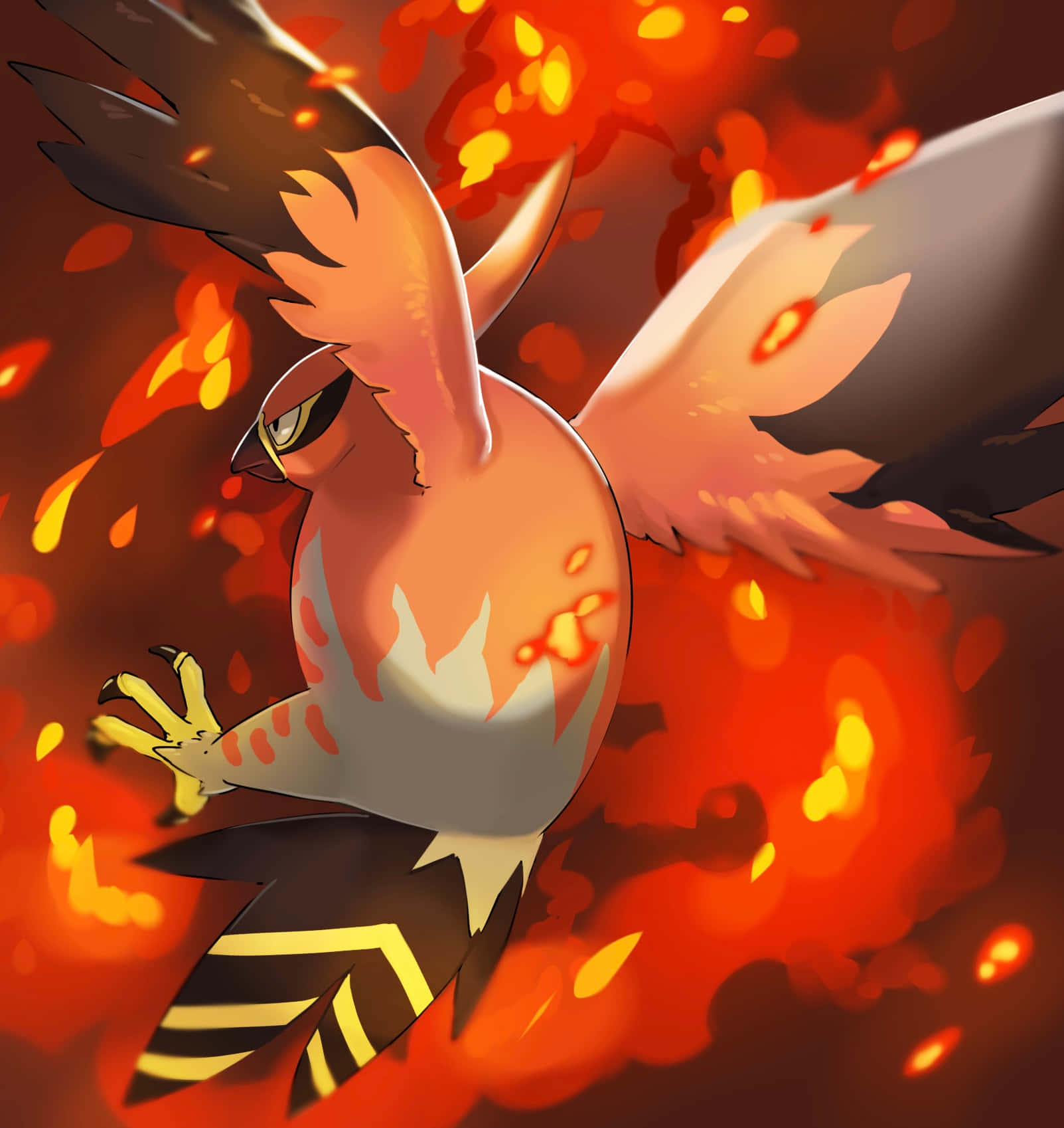 Talonflame, fire, orange, HD Phone Wallpaper