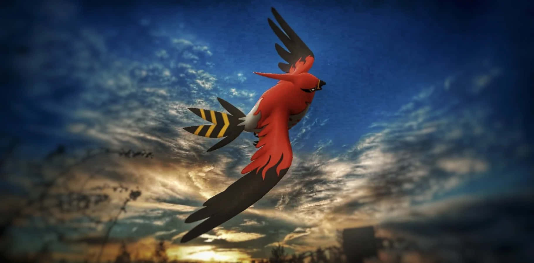 Talonflame, evening sky, dramatic sunset, HD Desktop Wallpaper