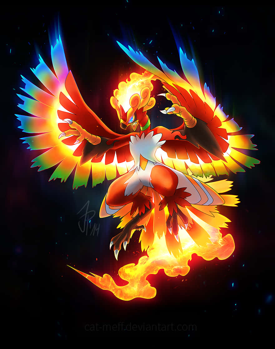 Talonflame, fiery orange, white plumage, SD Phone Wallpaper