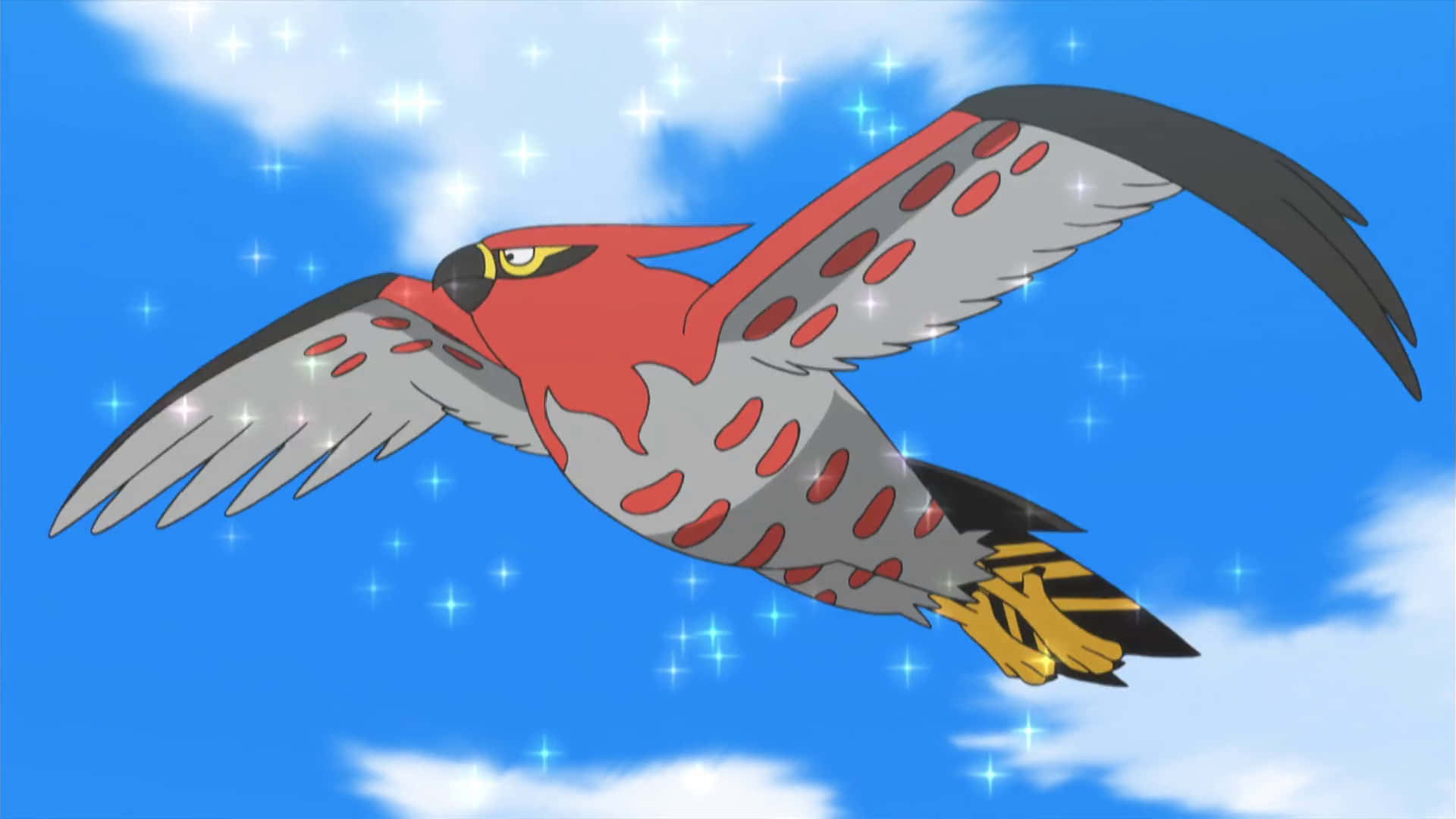 Talonflame, red and gray bird, spotted wings, Full HD Desktop Wallpaper